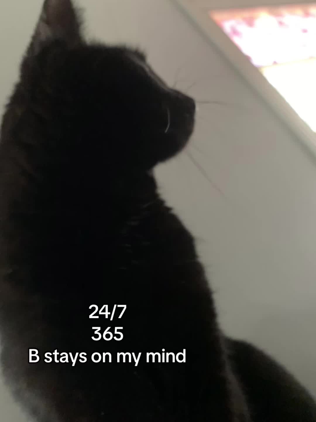 @♡