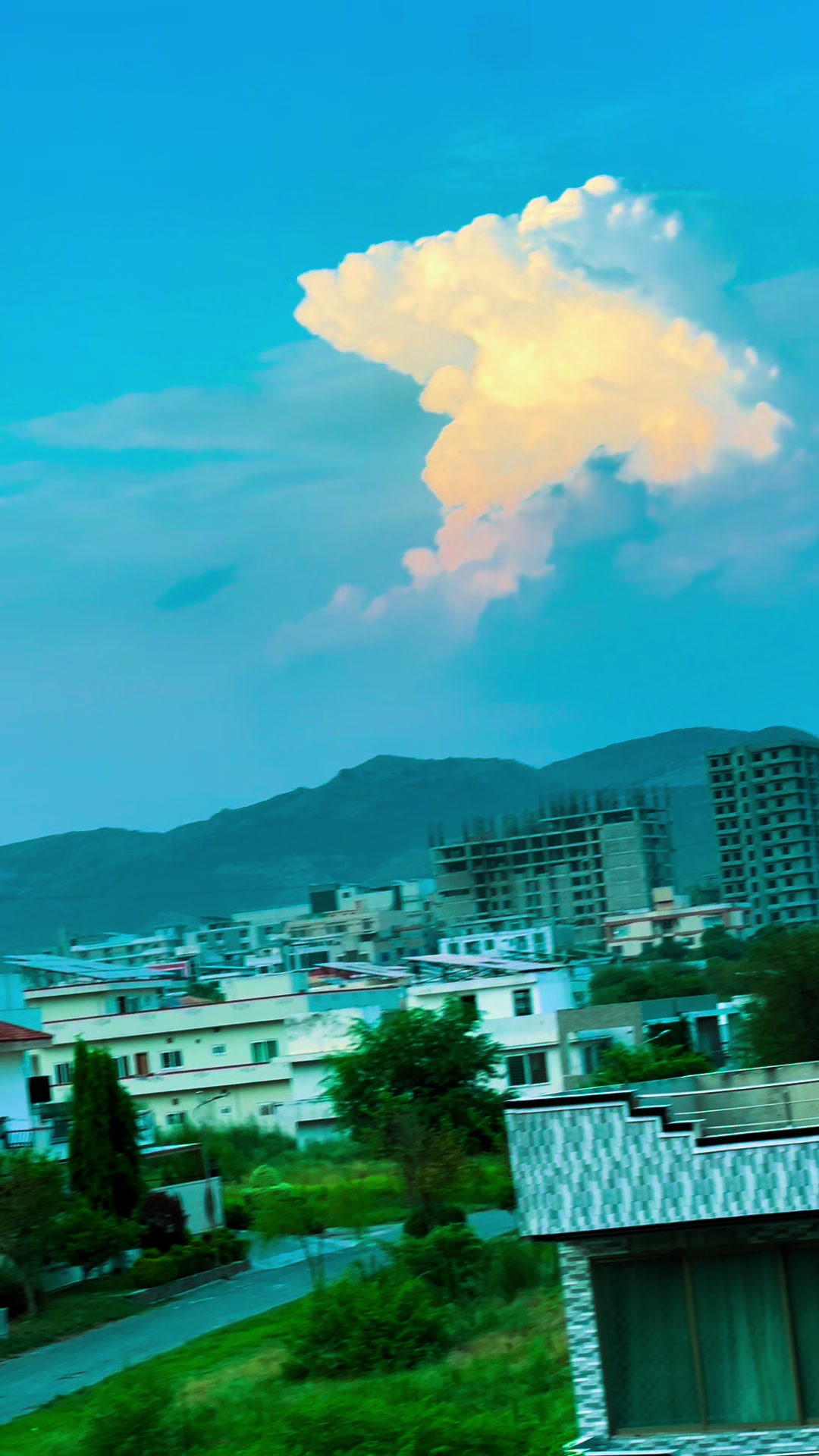 @𝗜𝗗𝗥𝗘𝗘𝗦 𝗢𝗙𝗙𝗜𝗖𝗜𝗔𝗟