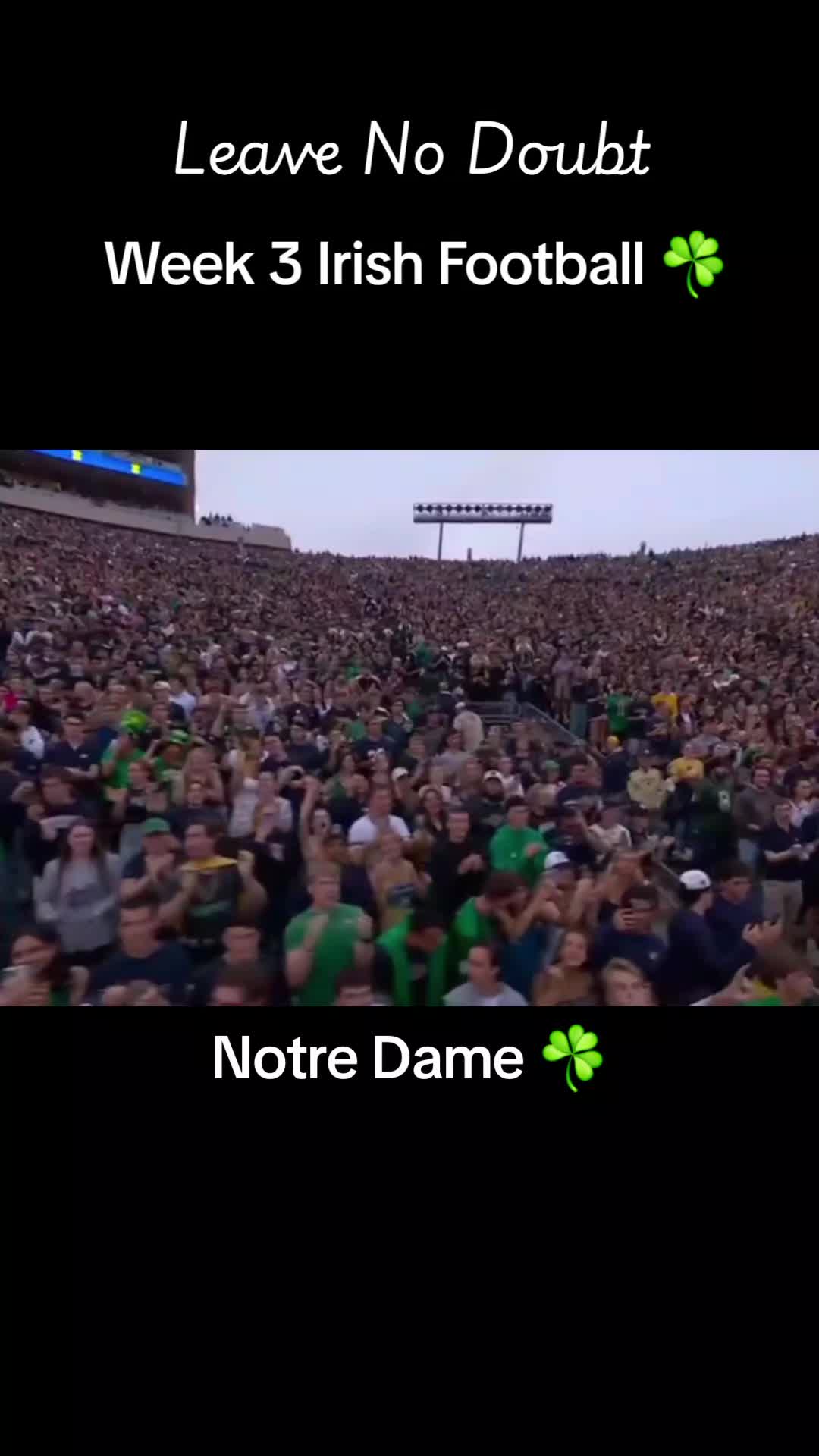 @☘️Sam☘️