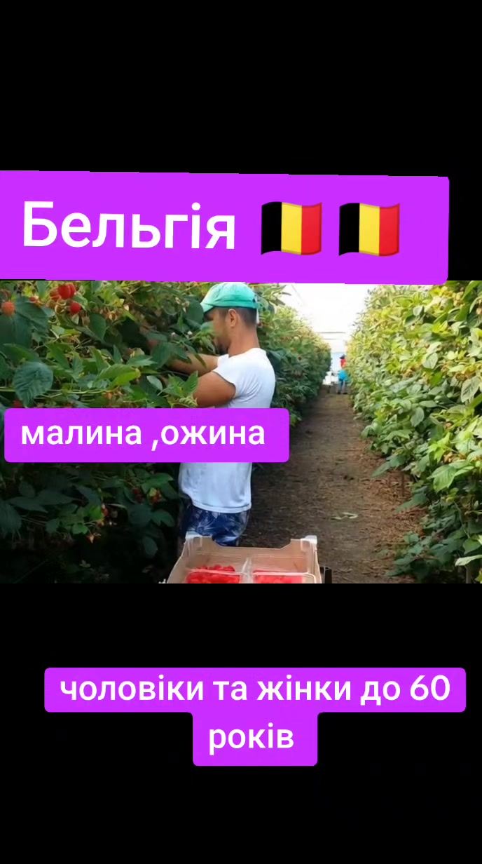 @Бельгія та Нідерланди