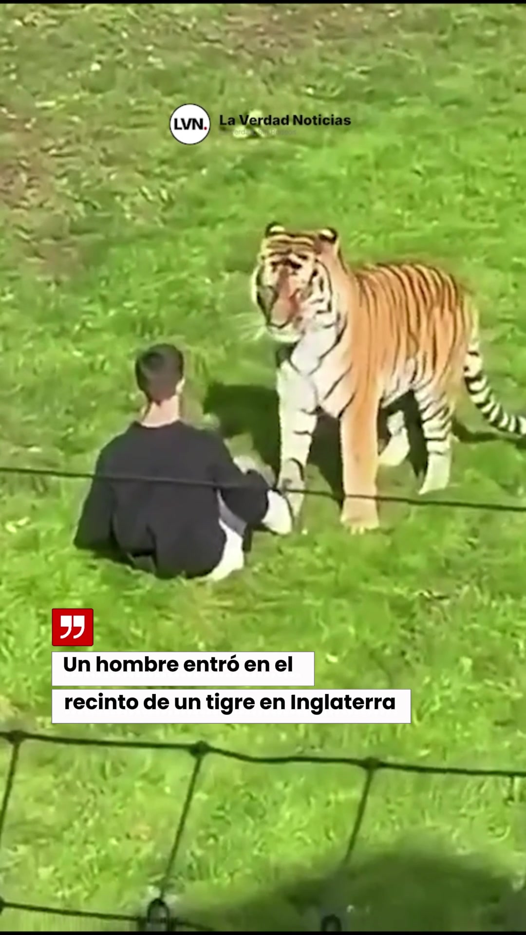 @lvn_noticias