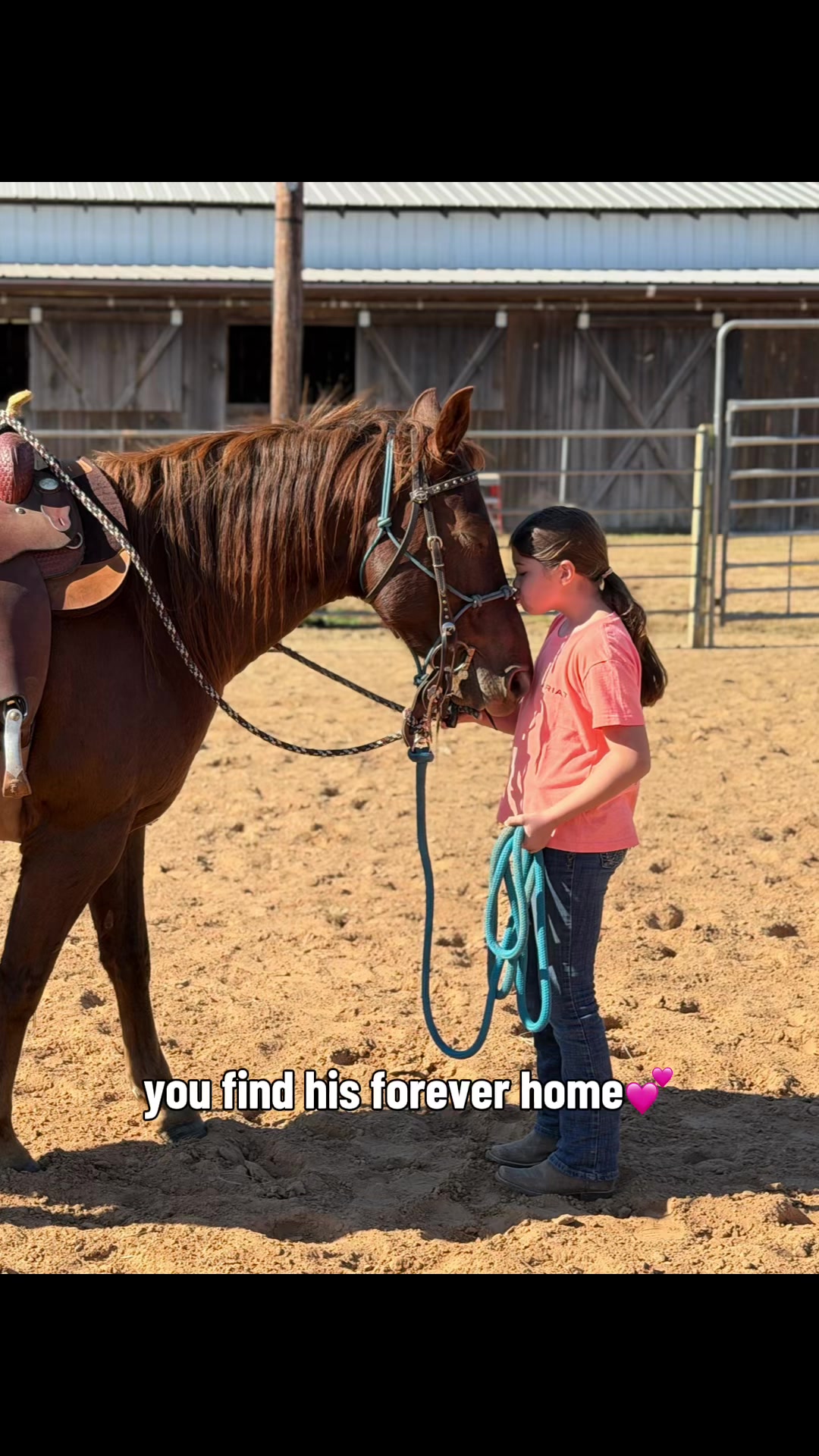 @MS Horse Rescue
