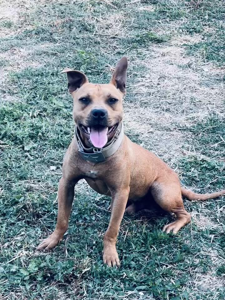 @Joker_pit8