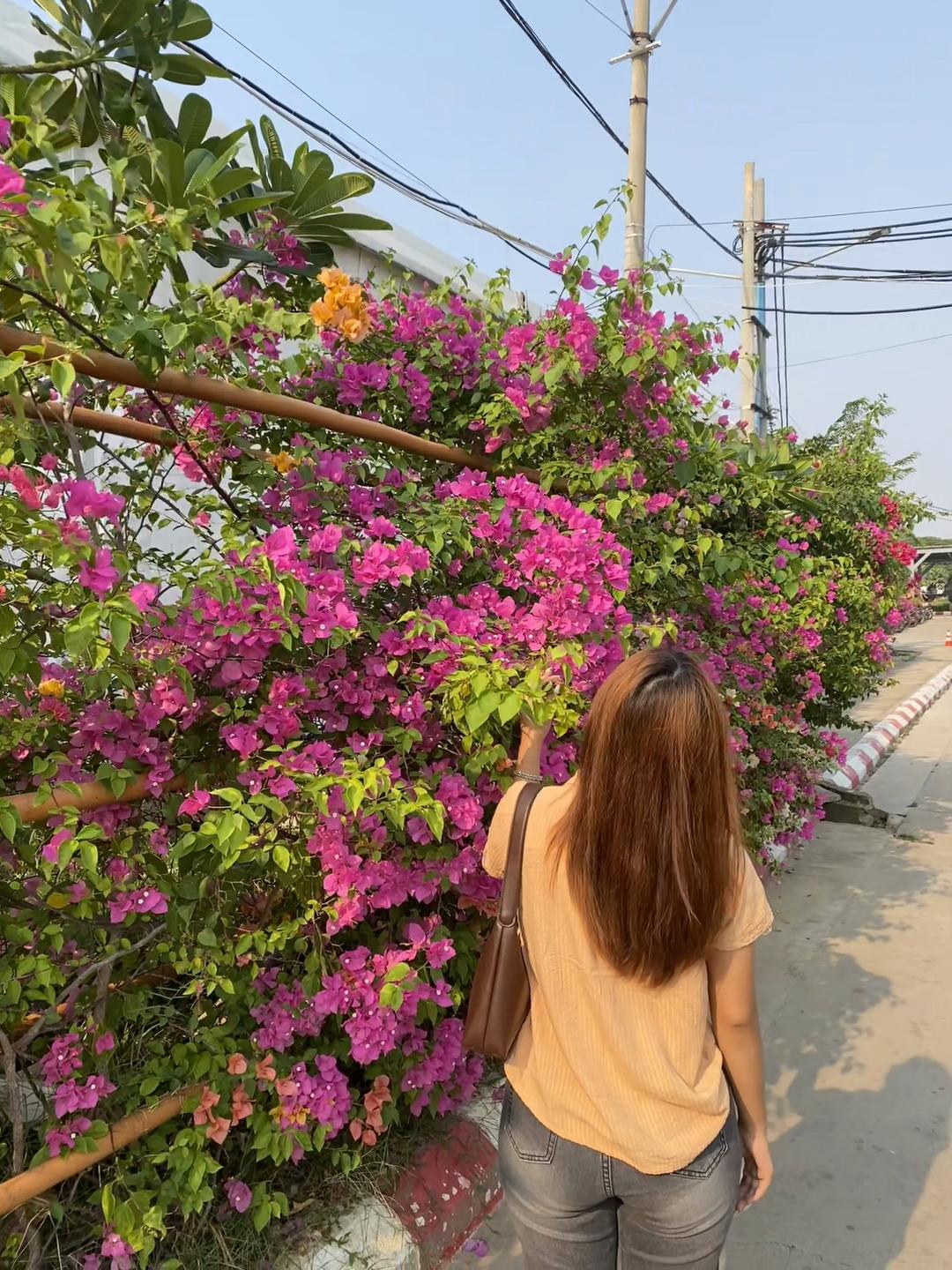 @Shwe Store & Floral Service