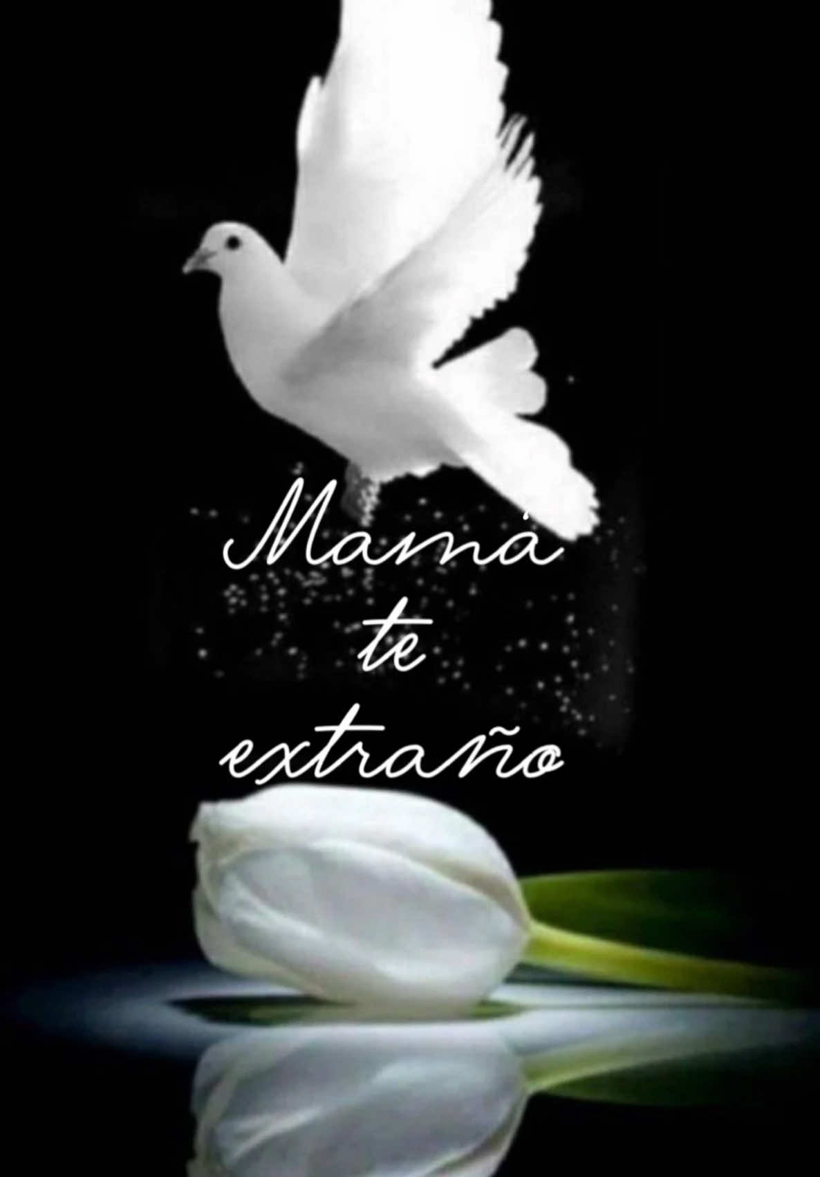 @📿💕FRASES HERMOSAS 💖