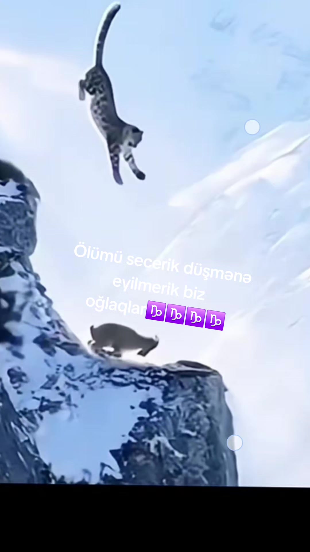 @👩❤️👨👈🤨Dəlisov♑
