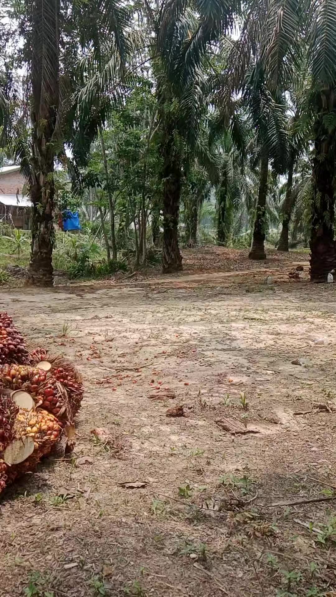 @Andri ajja01