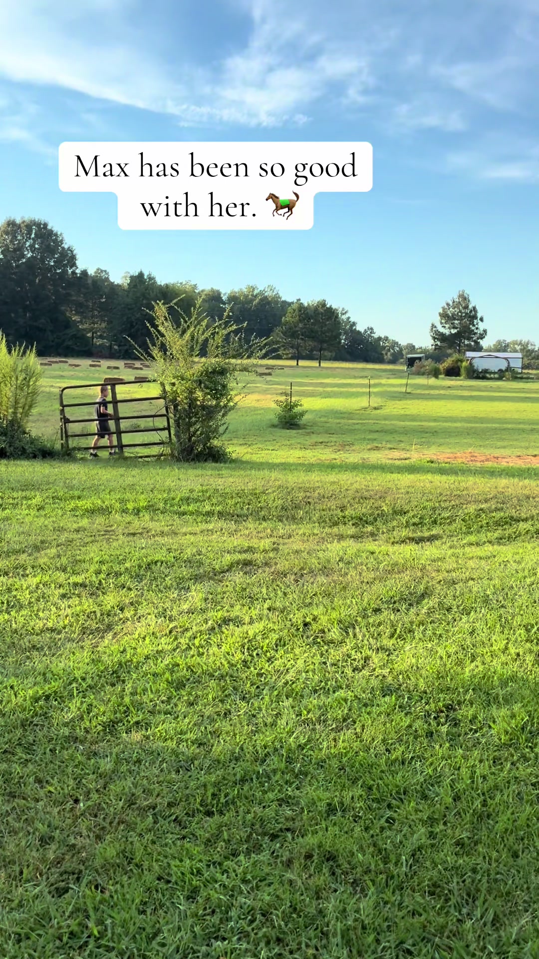 @Gray Acres Homestead