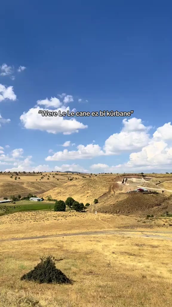 @stranekurdi