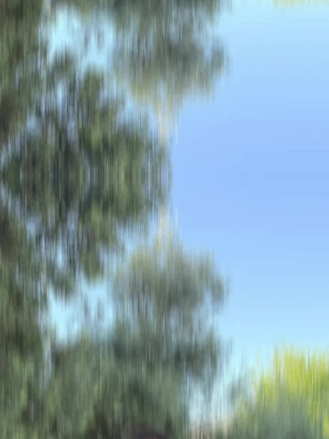 @꧁𓊈🍷ⒾⓀ مندوخیل 🍷𓊉꧂