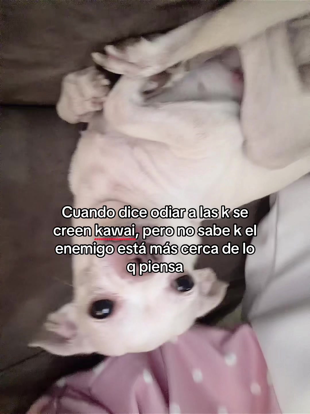 @Dany(>_<)