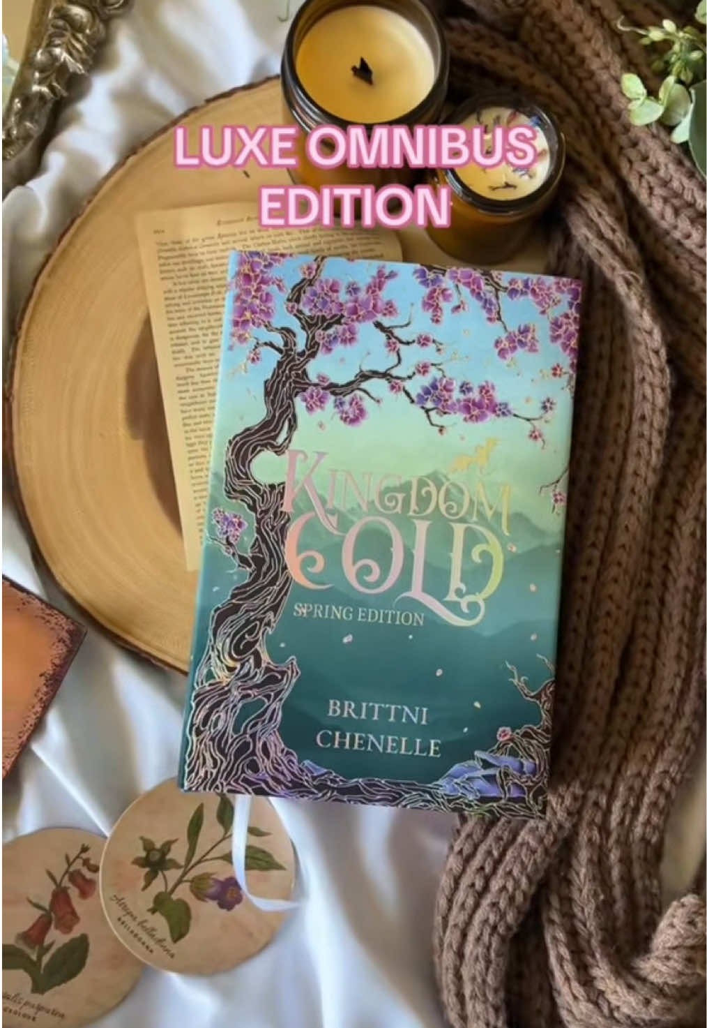 @Brittni Chenelle Books