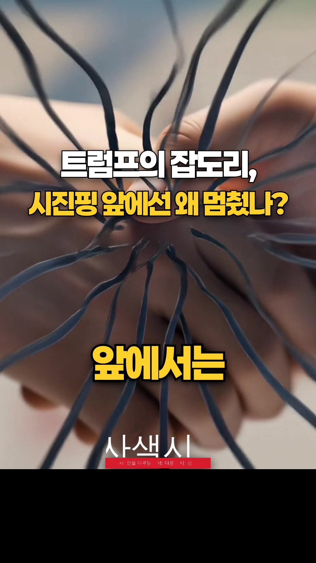 @사색시