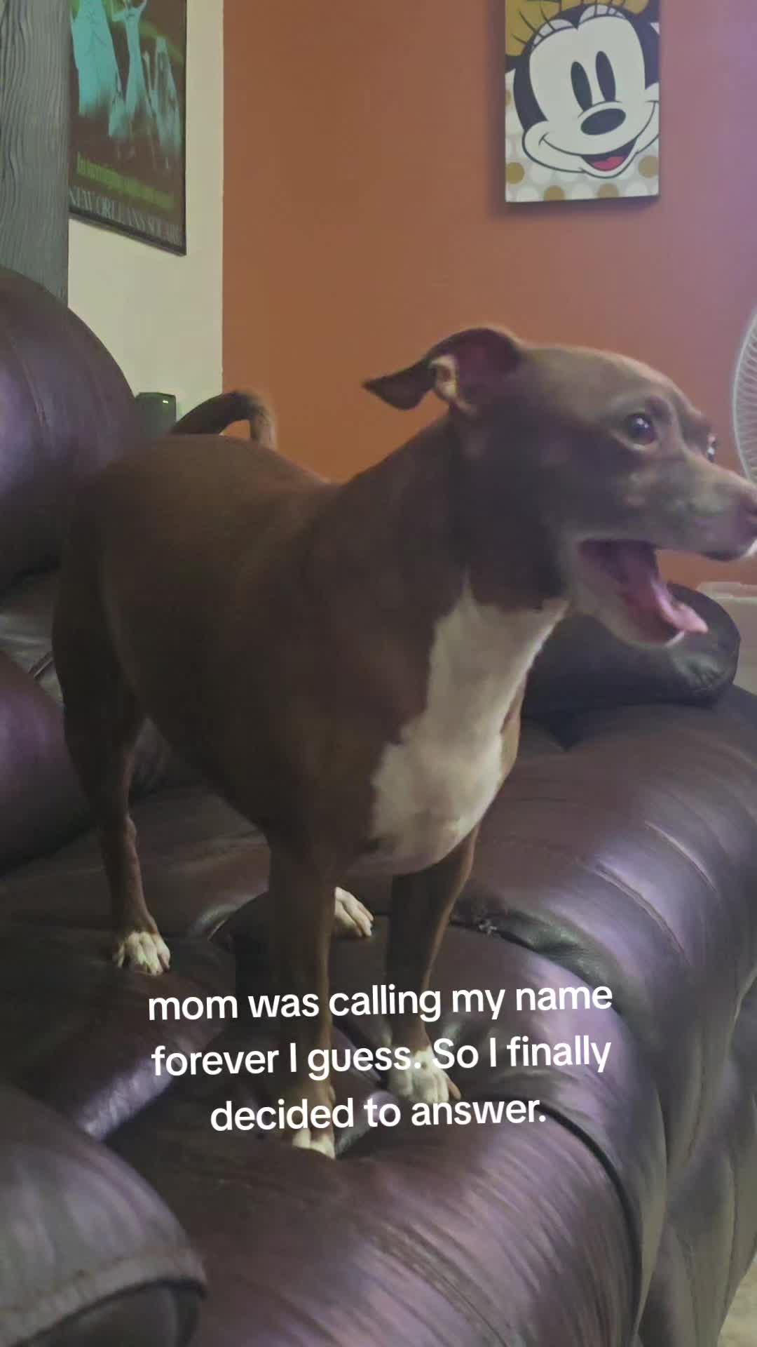 @DAISY MAY