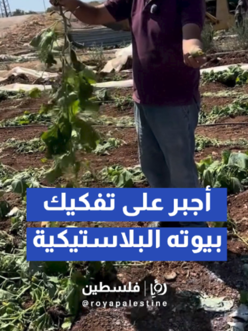 @Royapalestine رؤيا فلسطين