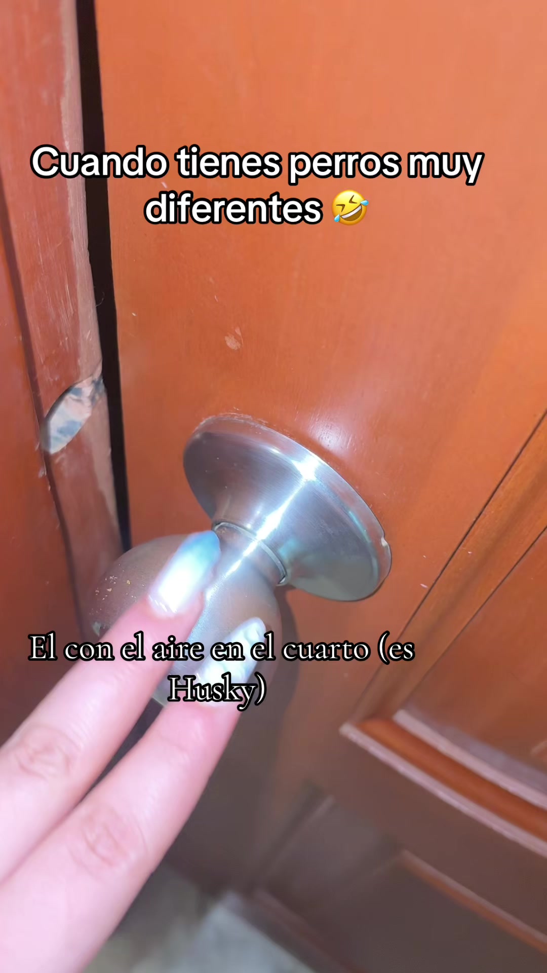 @nayaridR