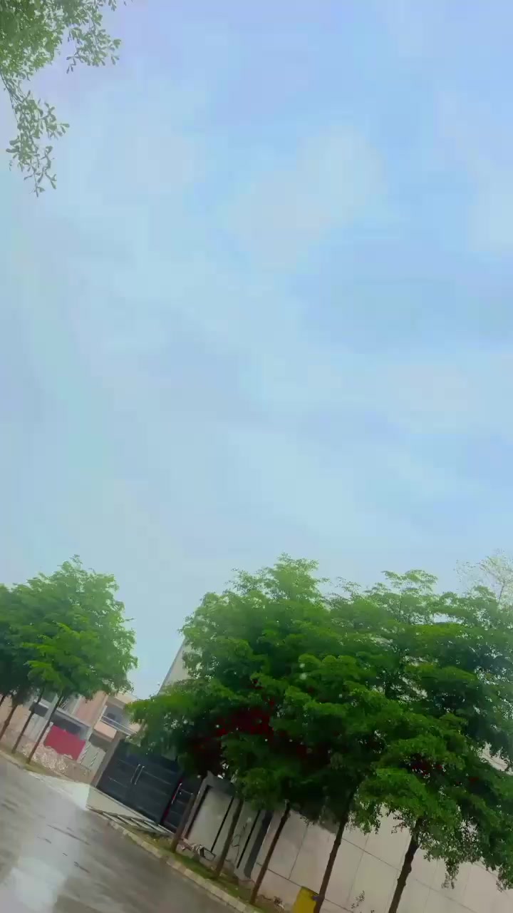 @jalalbaloch354