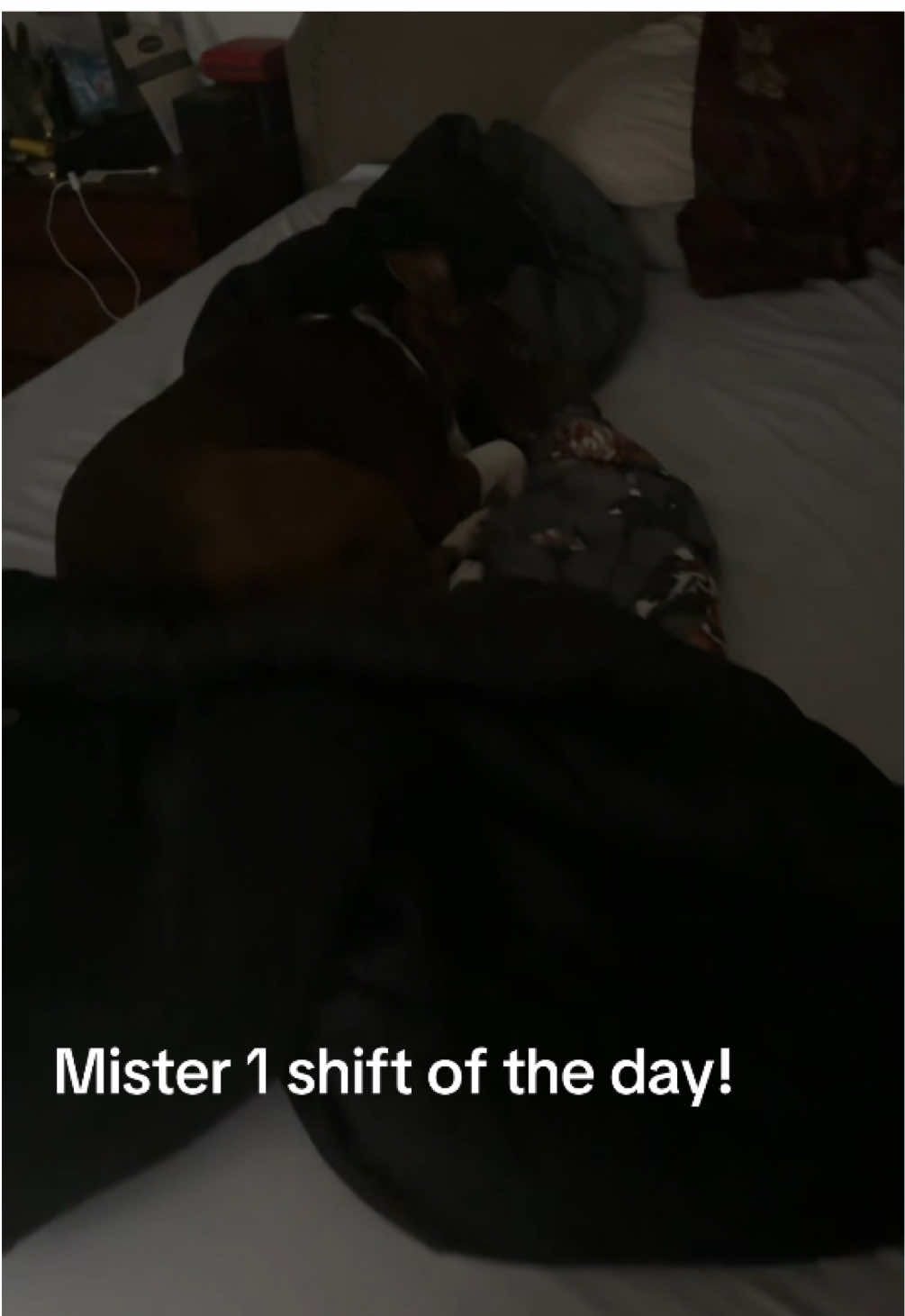 @Mister_granger