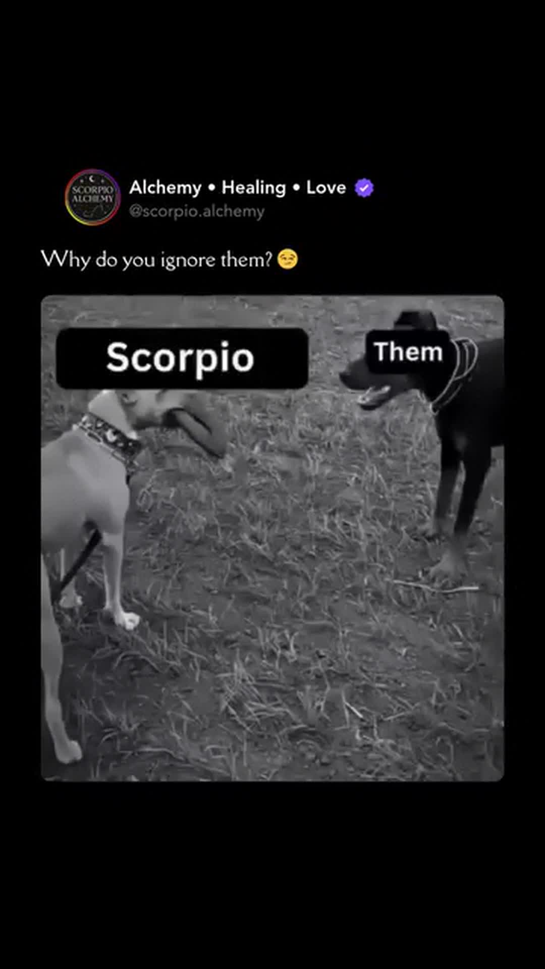 @Scorpio Alchemy