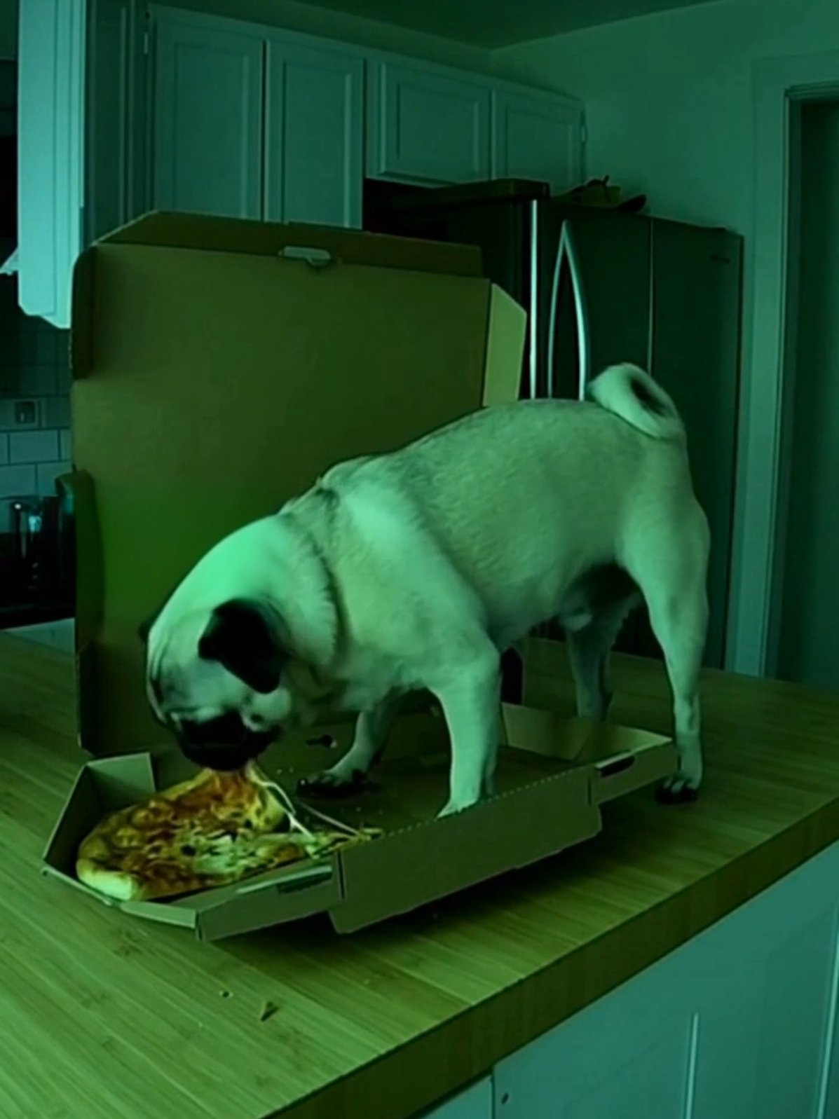 @Pug