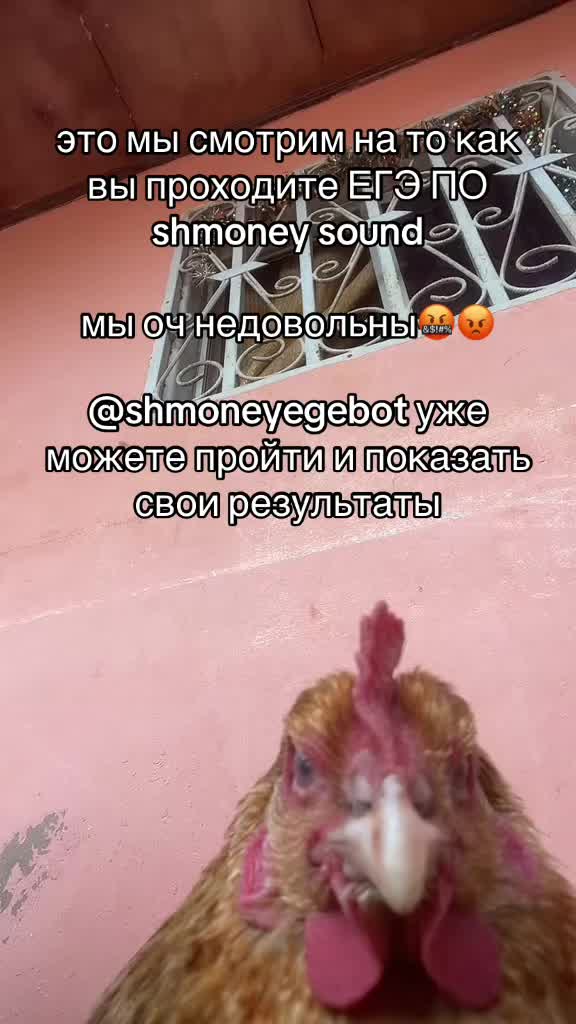 @тгк SSG