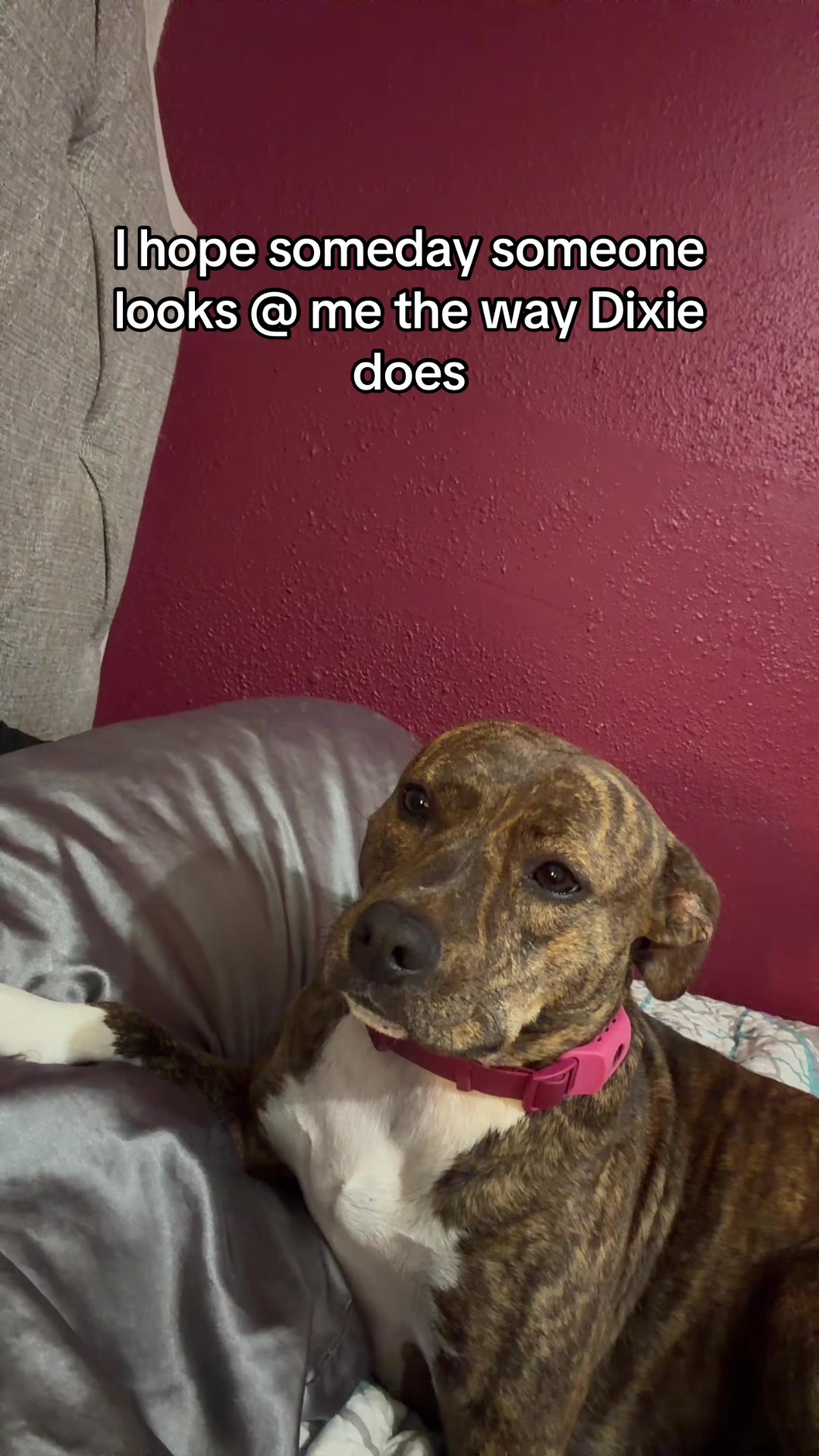 @alysa