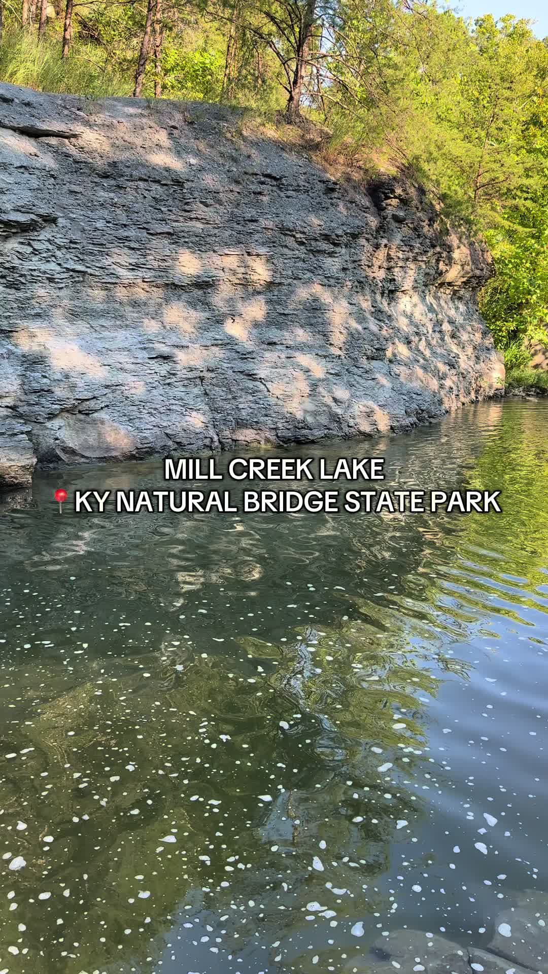 @ashleyschirmerREALTOR