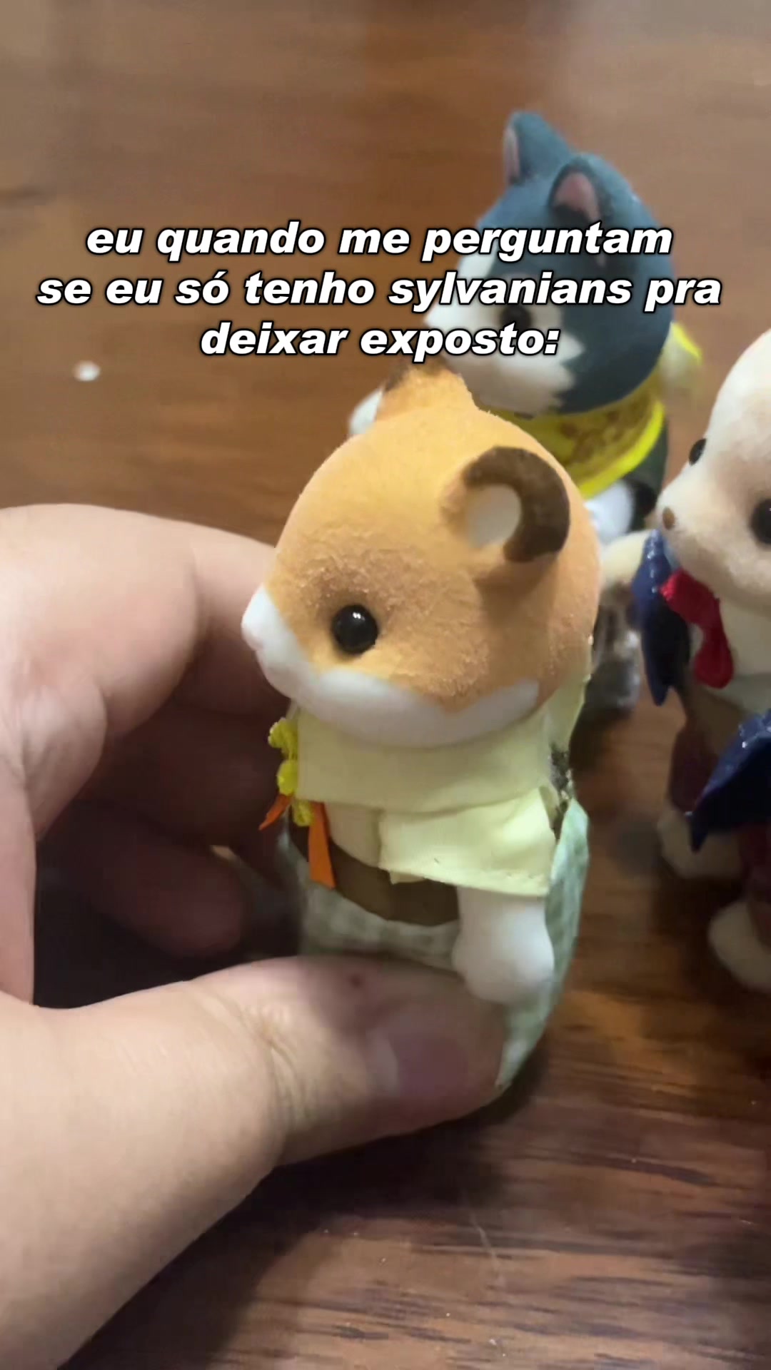 @isah_yuki