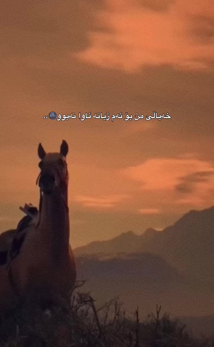 @Sahar
