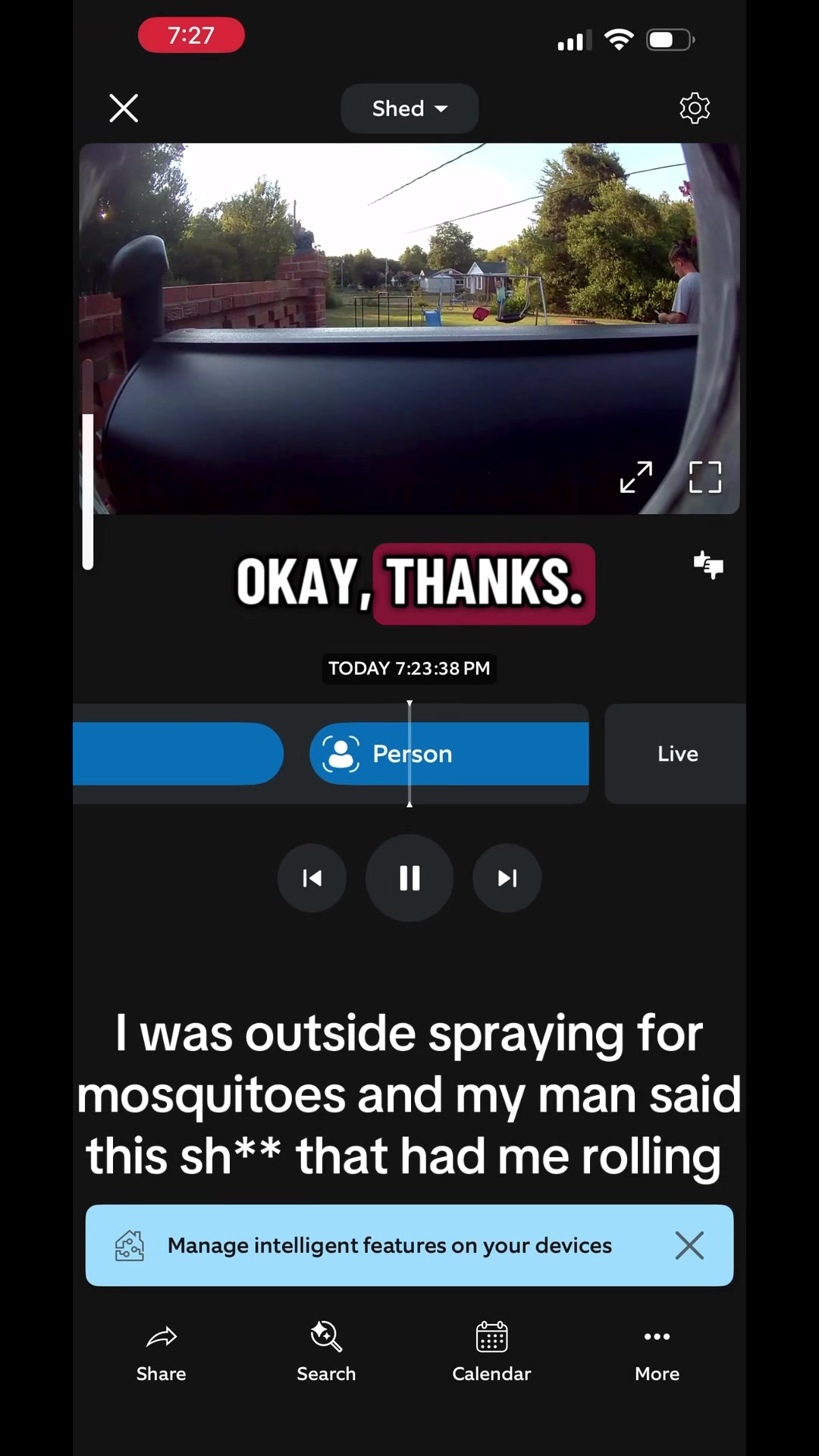 @saberqueentiger