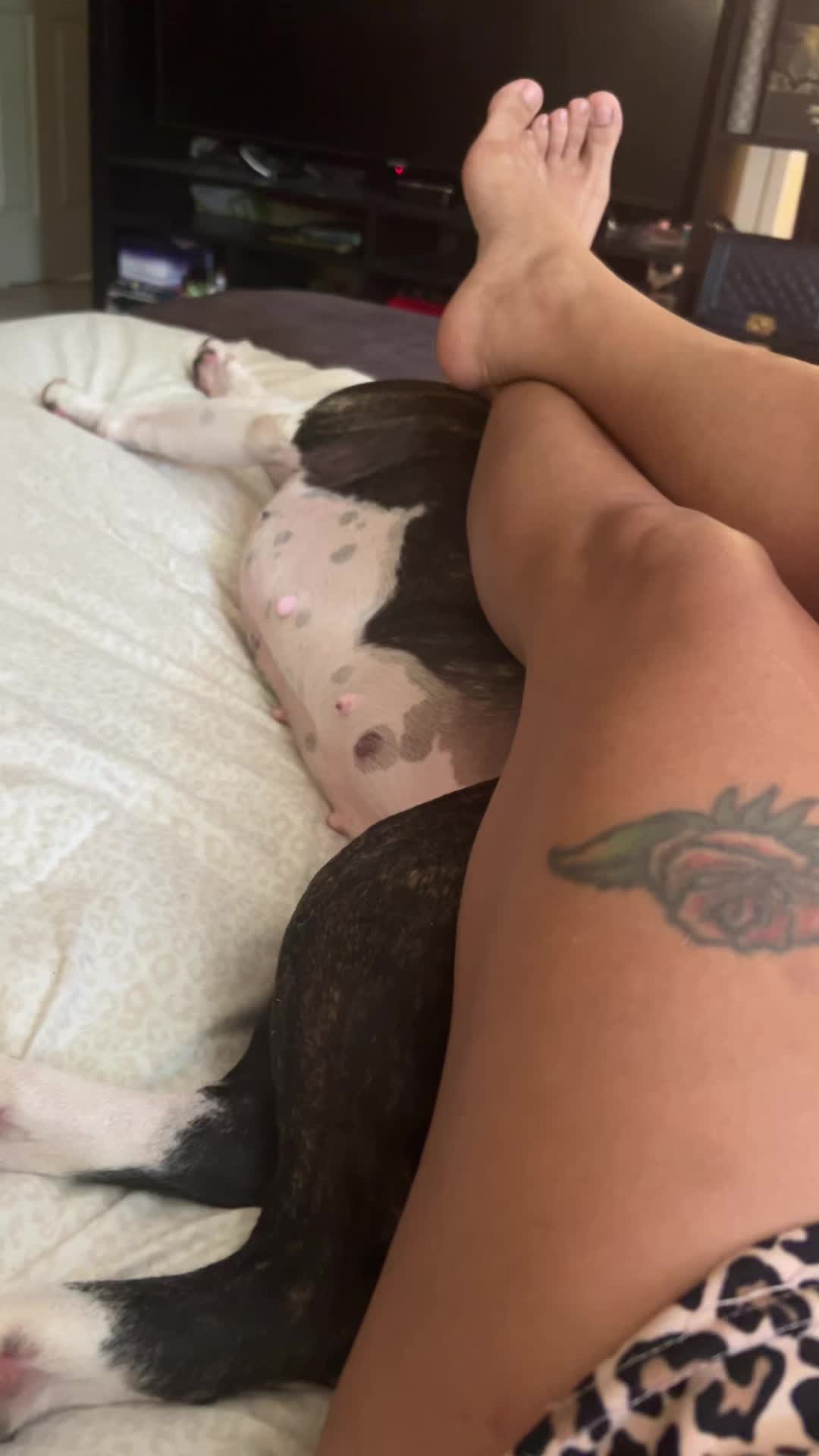 @greenasfjme