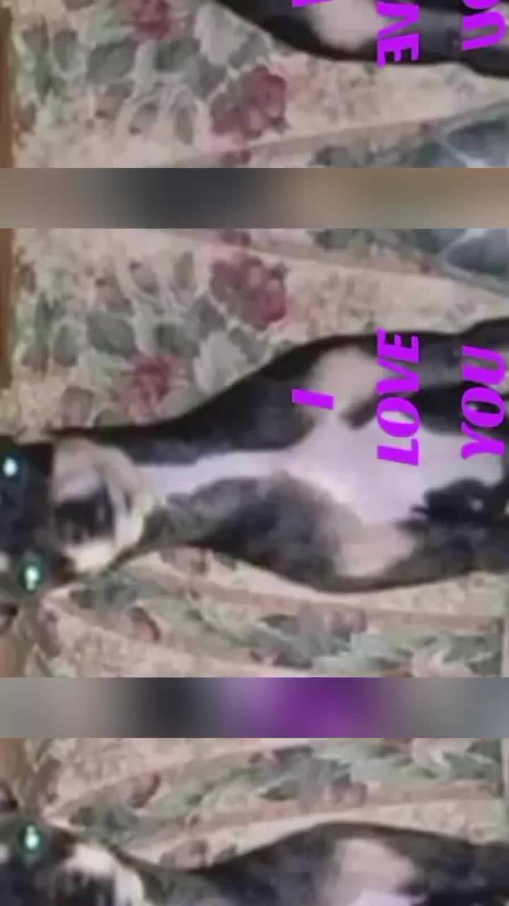 @🇺🇸Carebear💕Jenni🇺🇲
