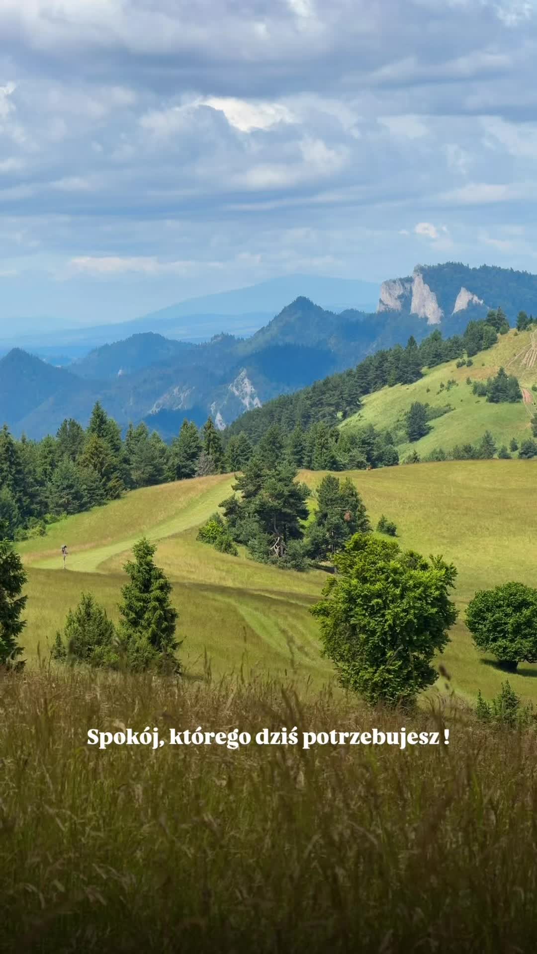 @HASAJĄCE ZAJĄCE