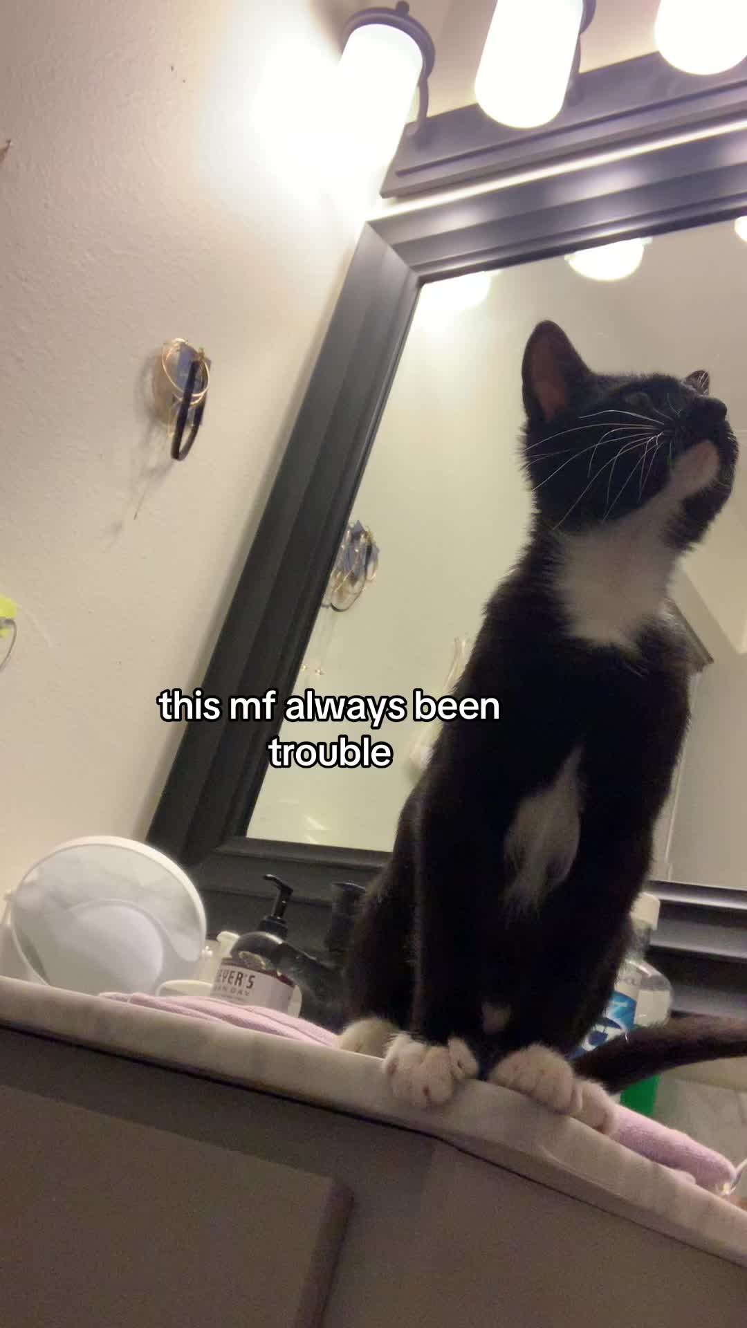 @logi