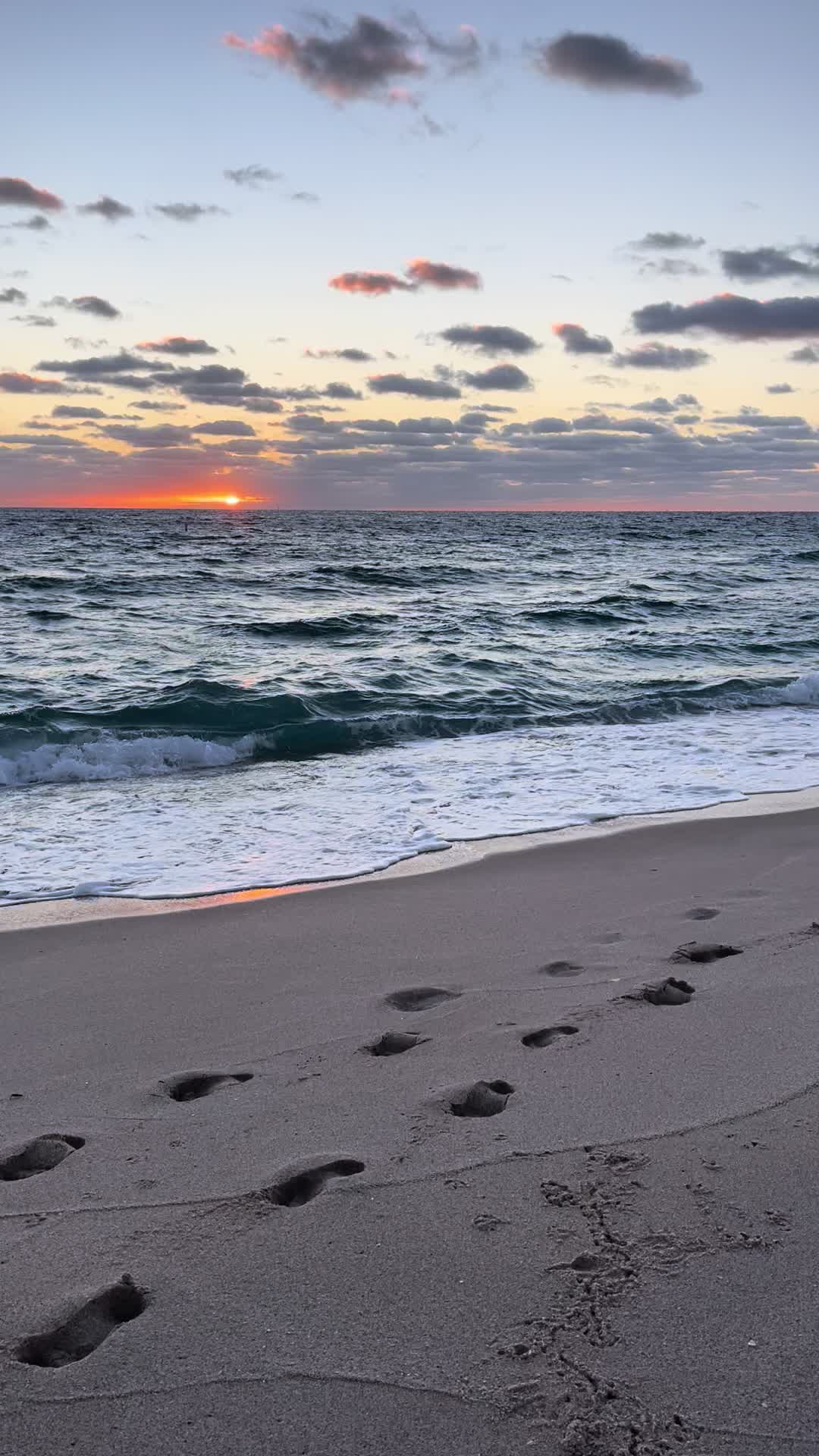 @savannah rae🕊️