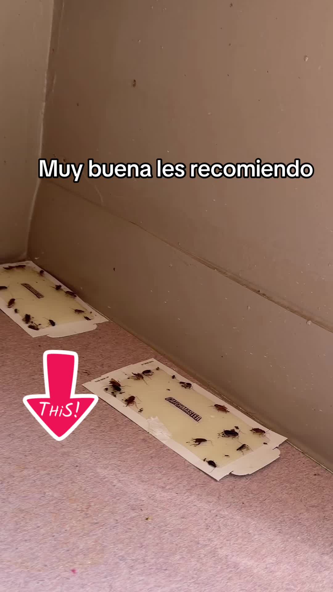 @🧚♀️flaquita🧚♀️
