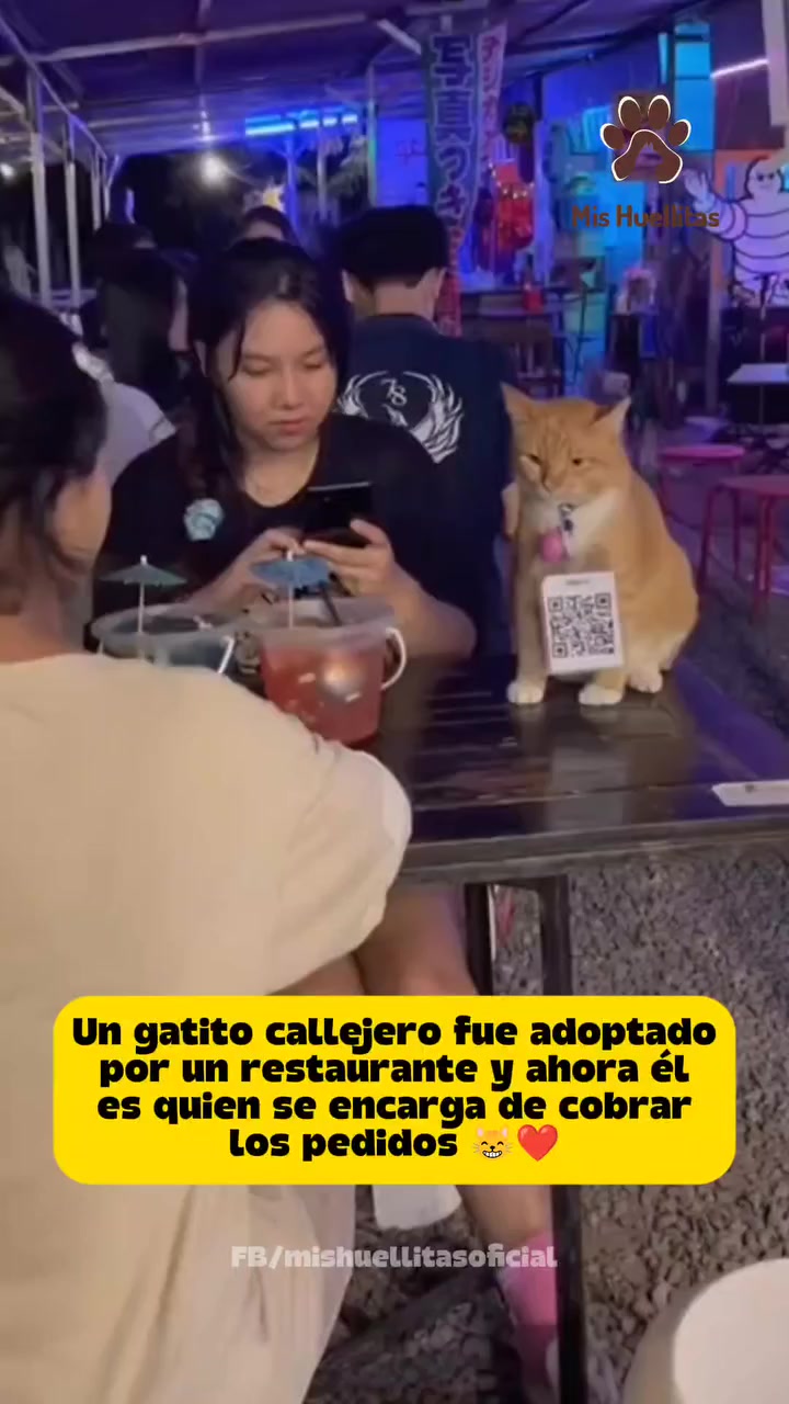@Animalistas Unidos GymsEmp