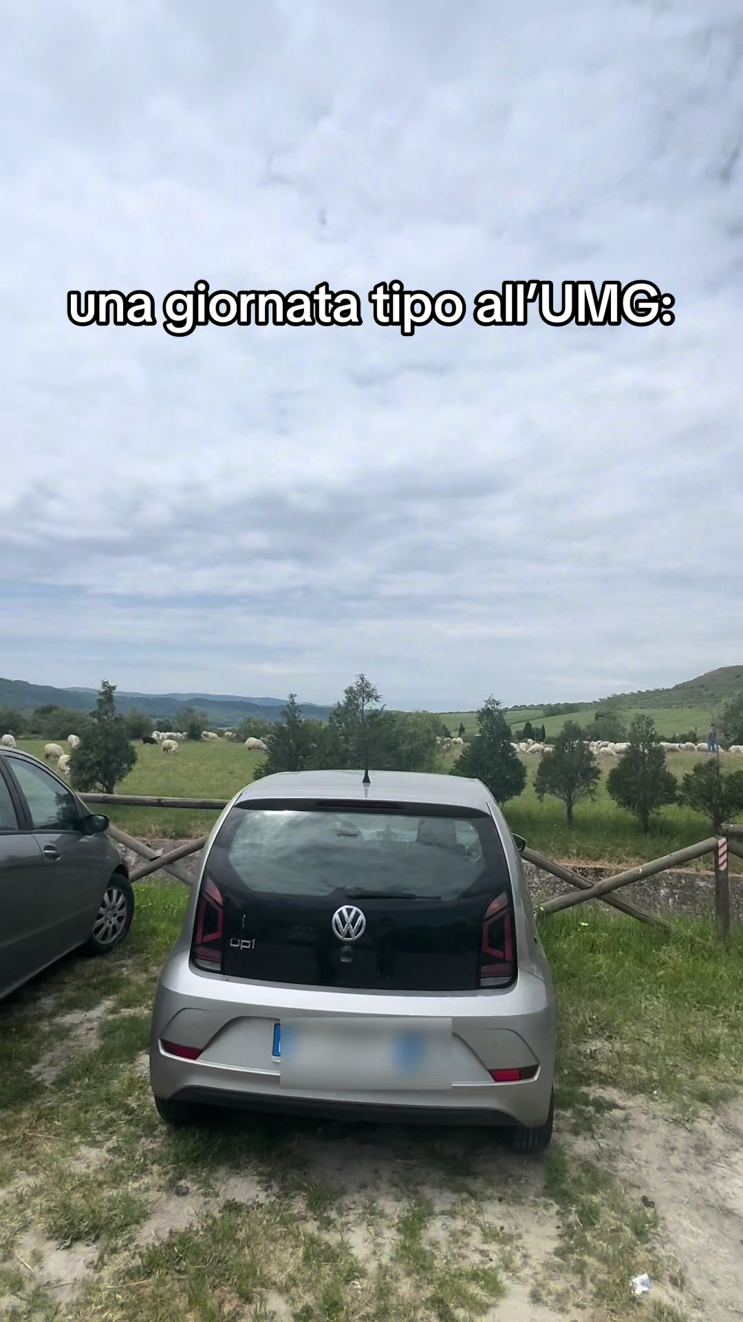 @⭐️ggre