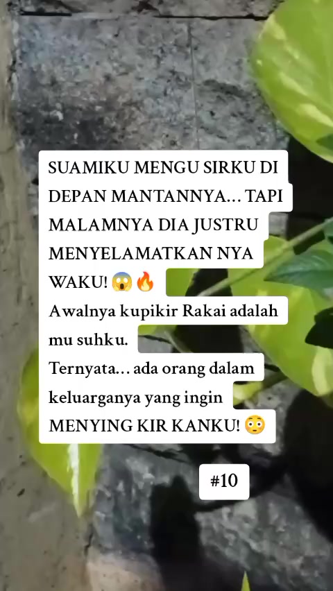 @senyumkata