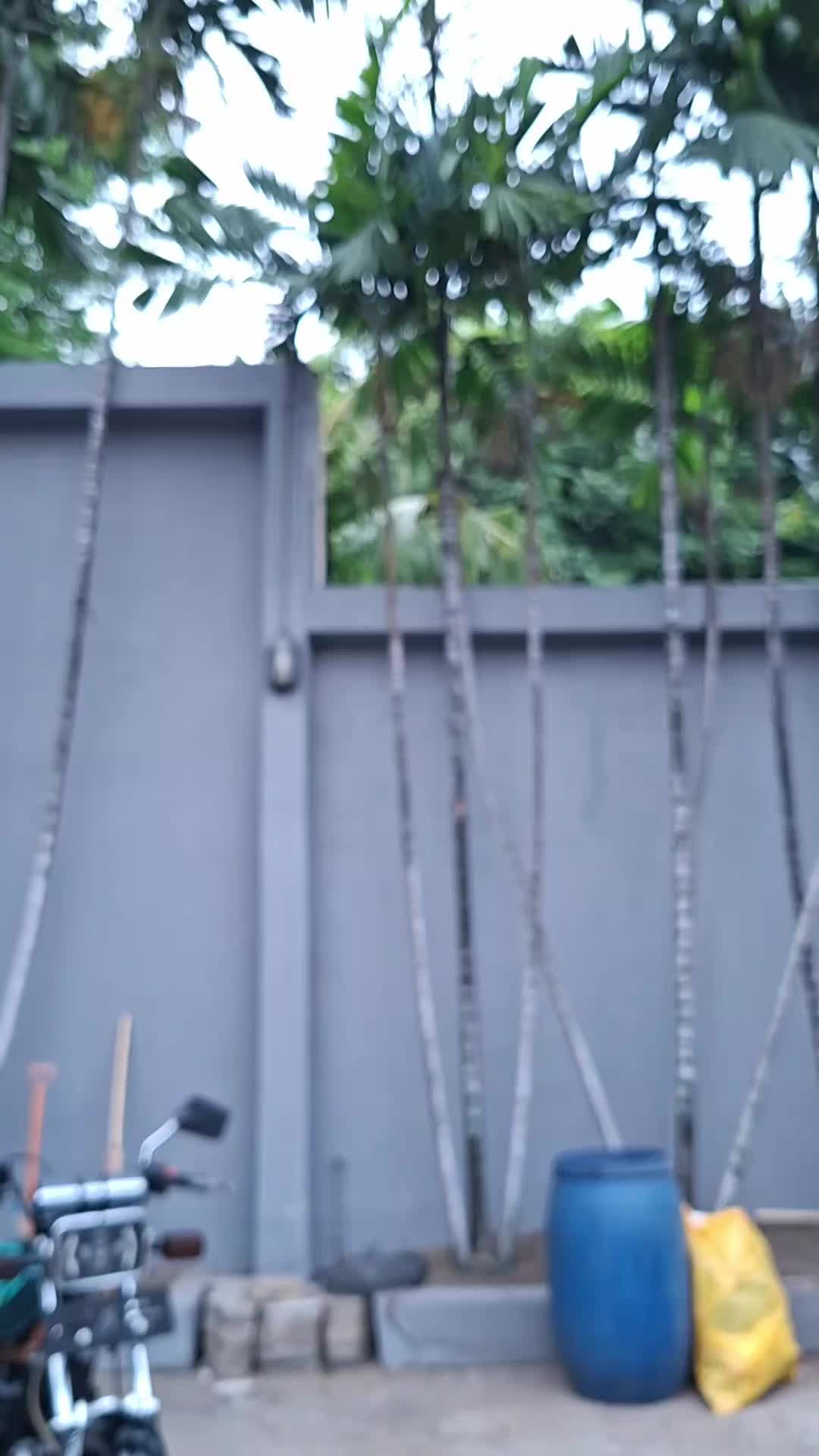 @Kaji Tofa cilacap