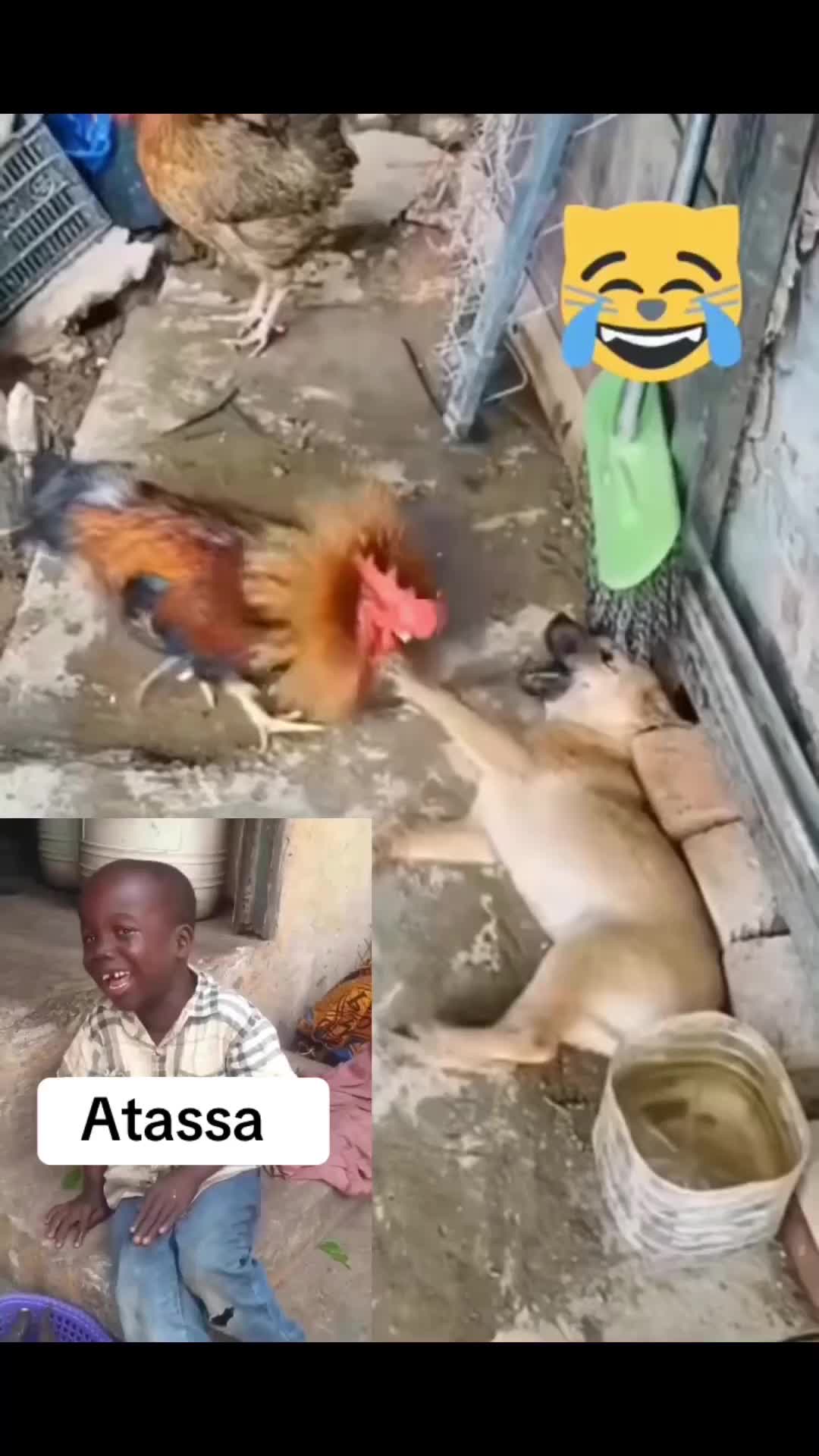 @Samuel Omo Ajiko