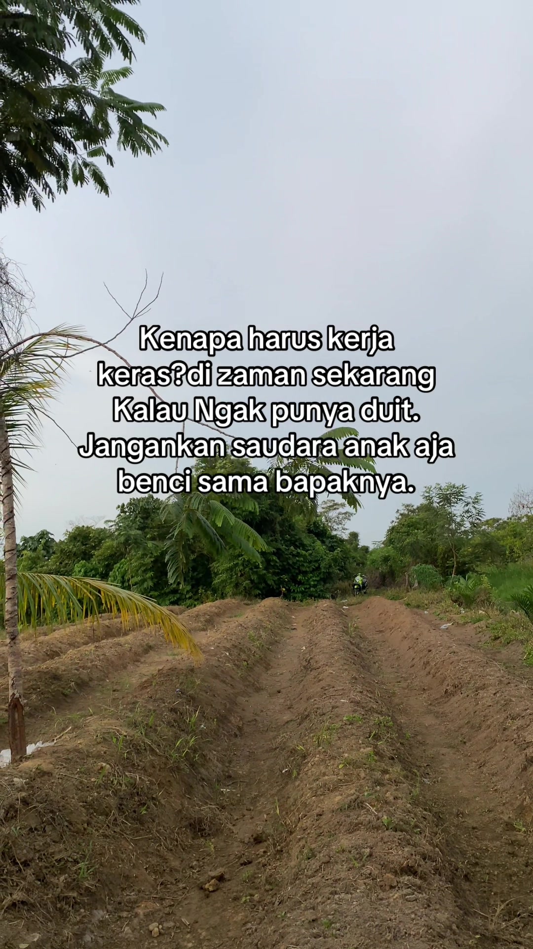 @perintis. muda