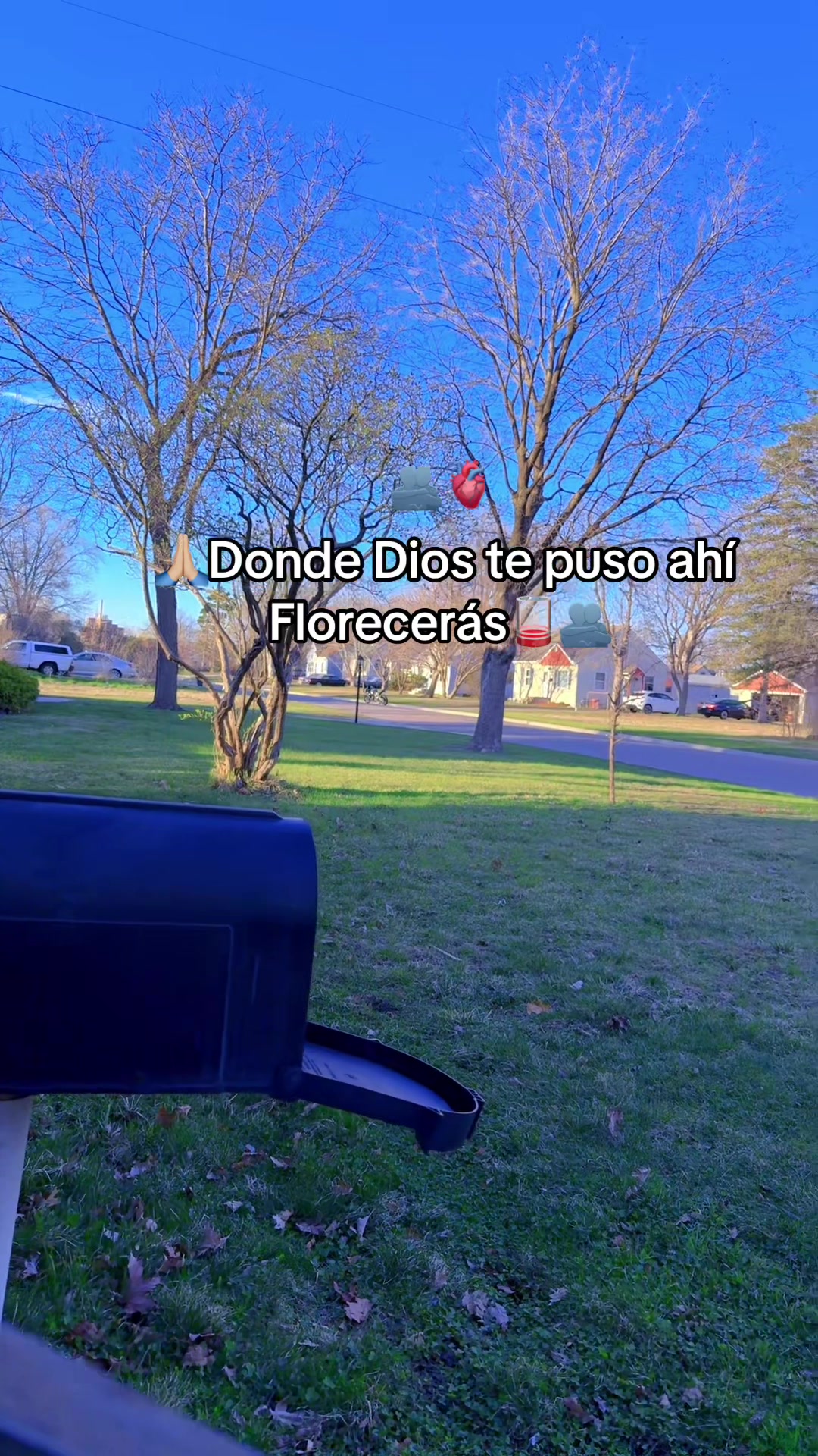 @Albert _Dql 🫀