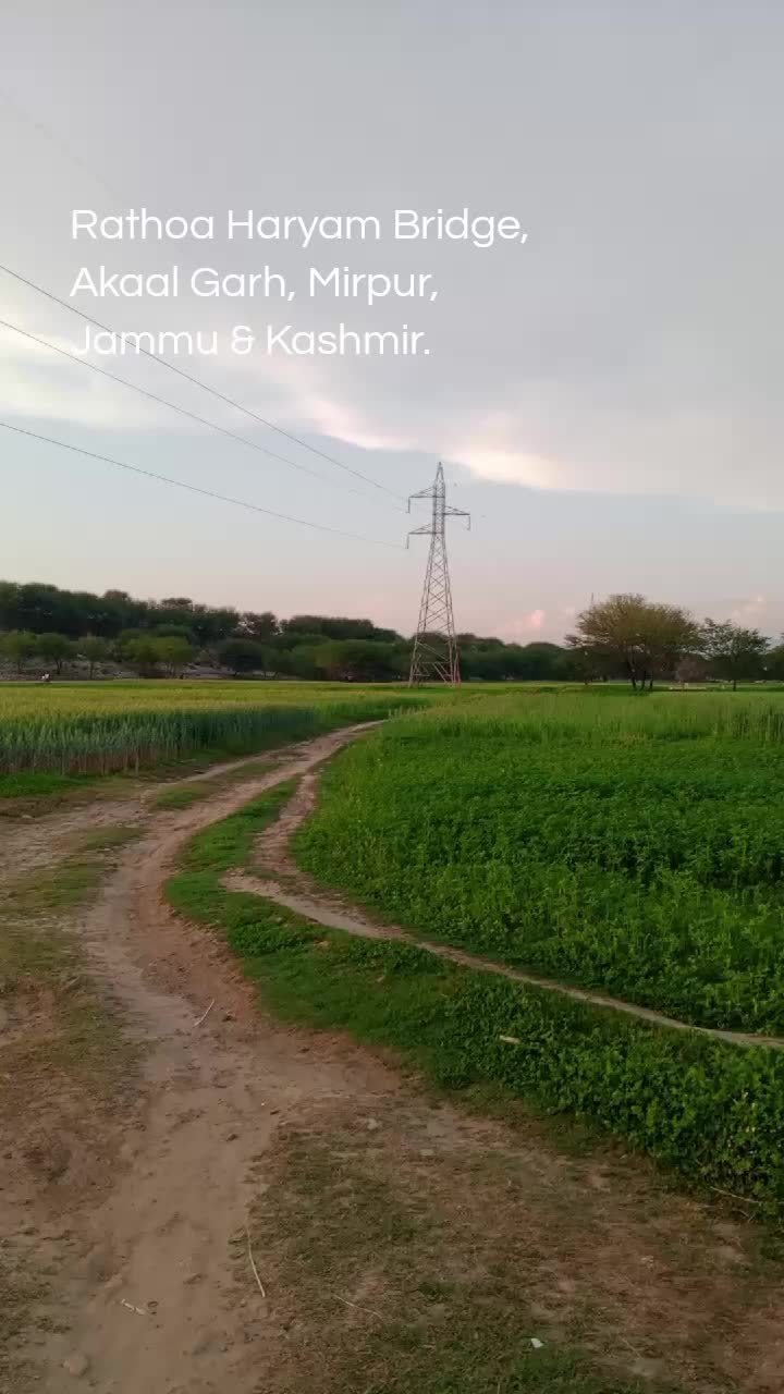 @Imran Mushtaq Chauhan