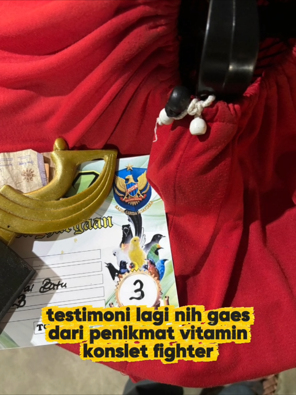 @boy kicau