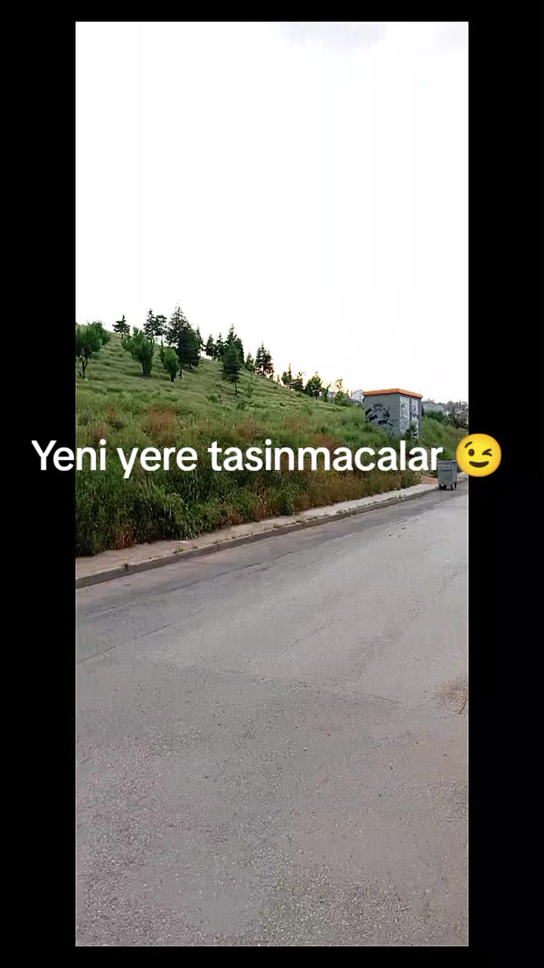 @Tugrul_