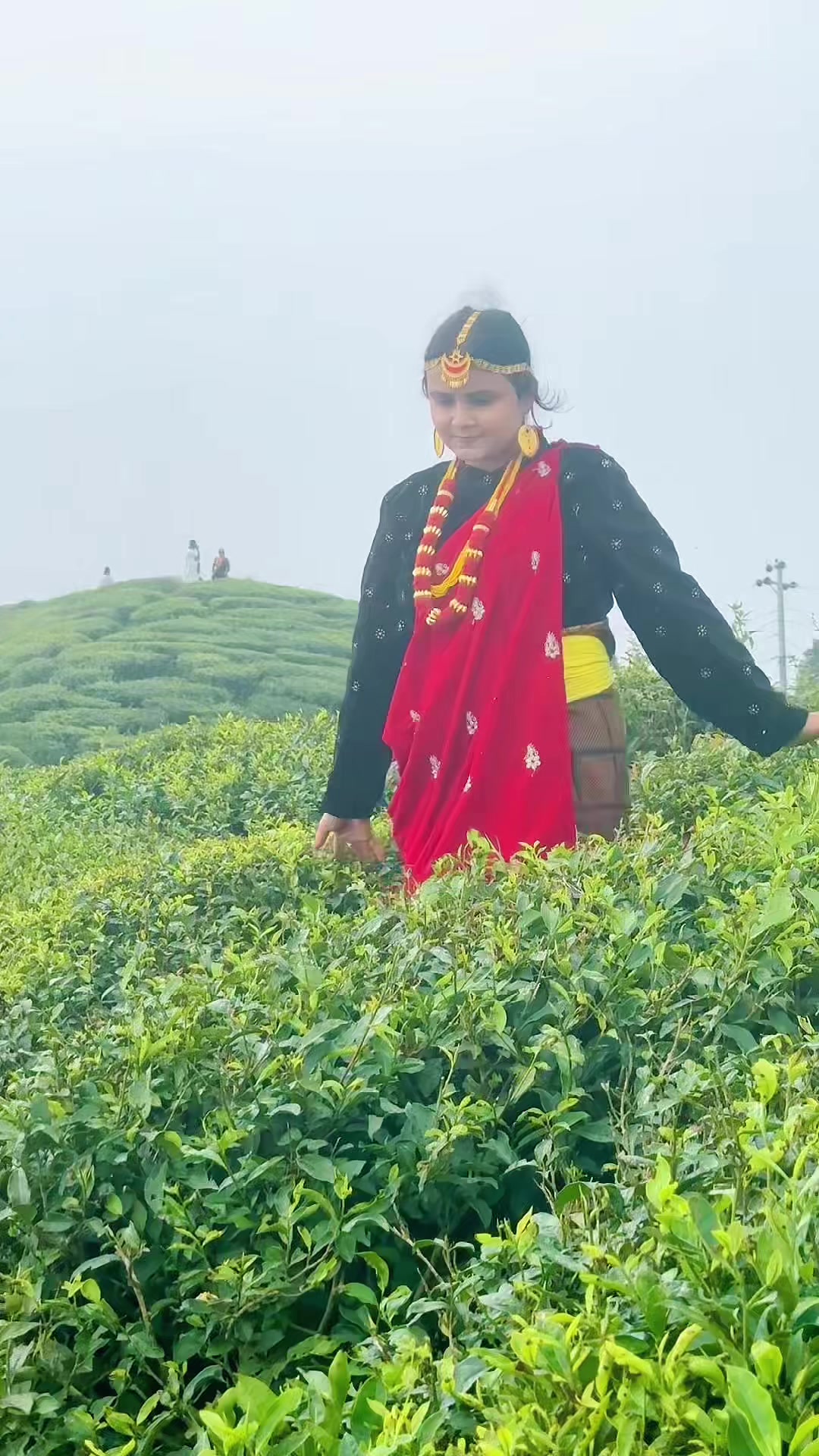 @Dr Nitu yadav