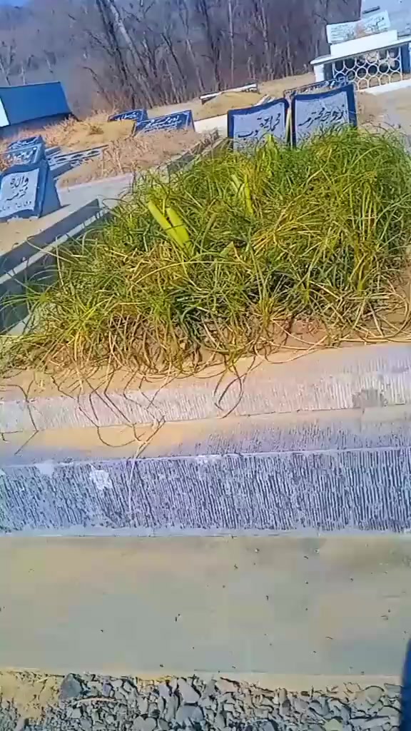 @درویش
