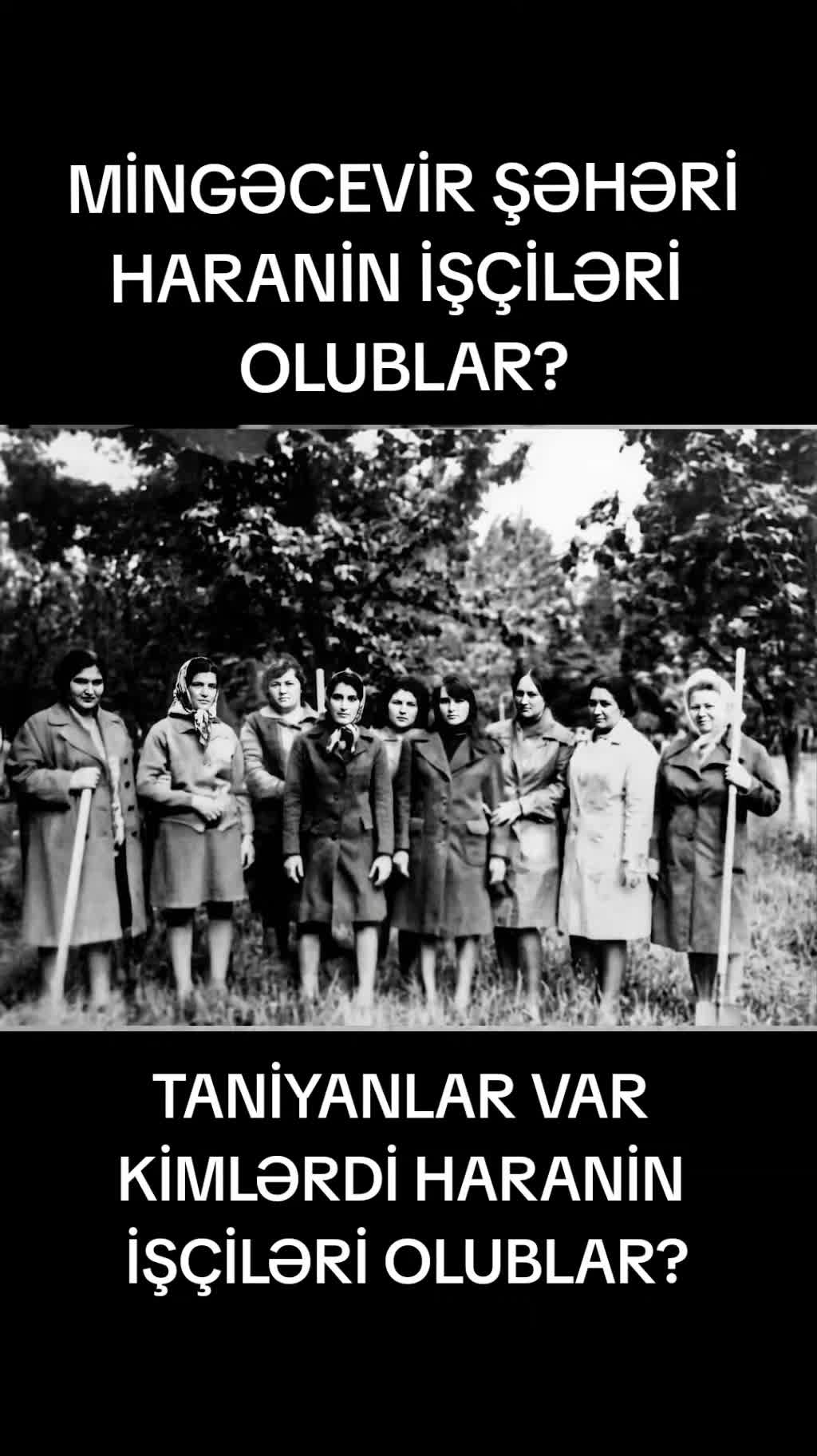 @MahirMingecevirli