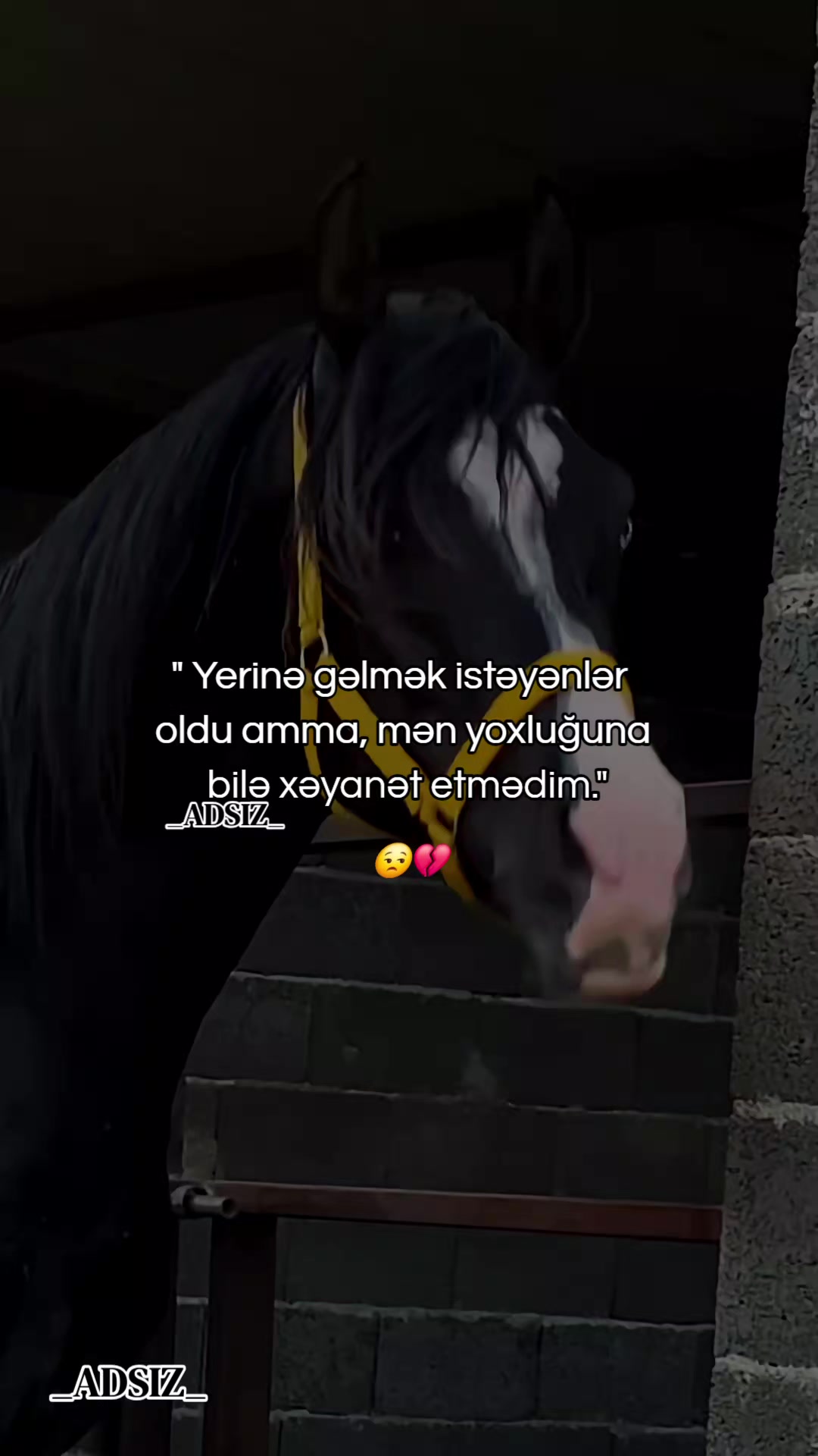 @_ADSIZ_